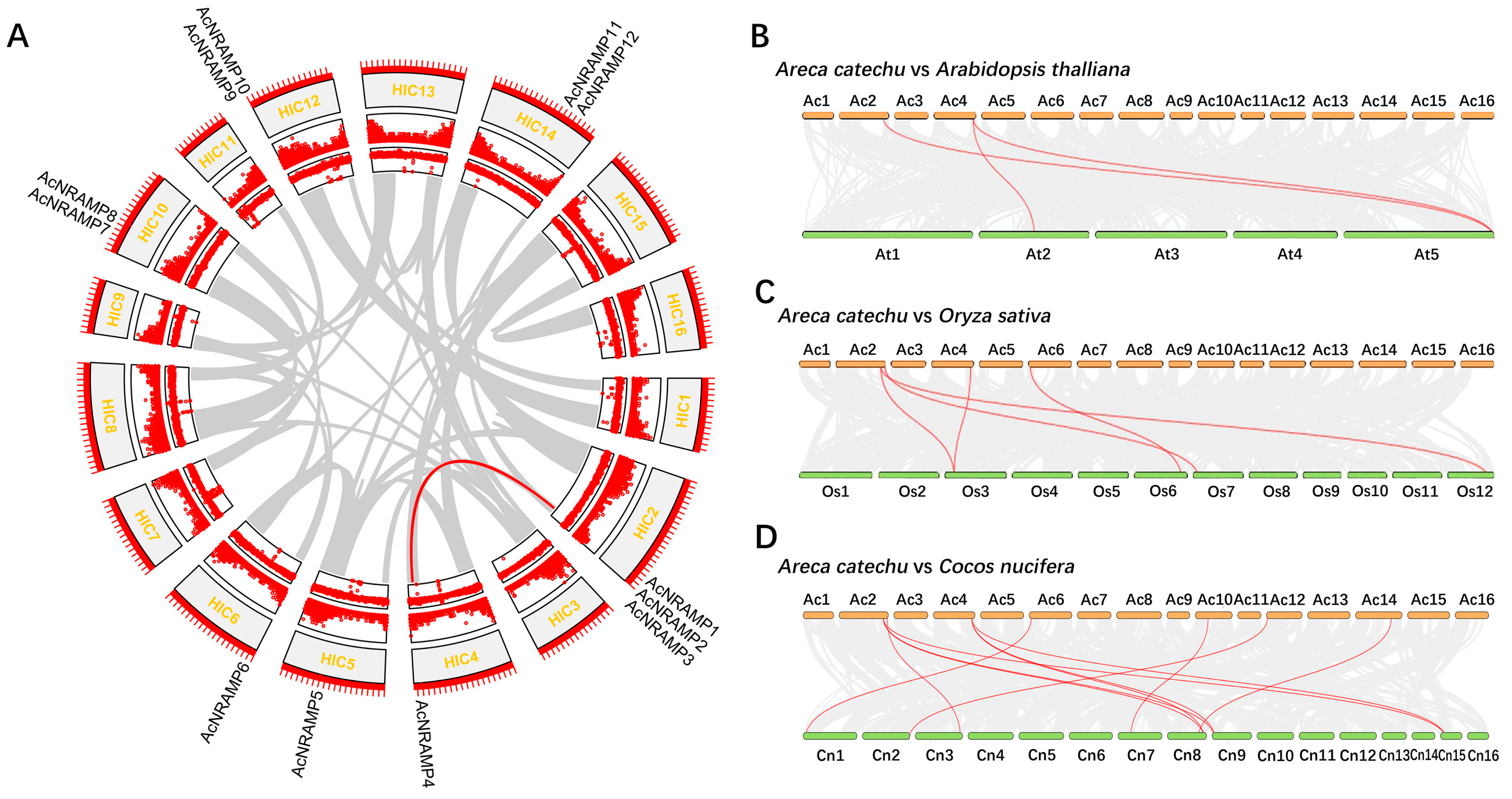 Ijms 24 07383 g002 Ijms 24 07383 g002