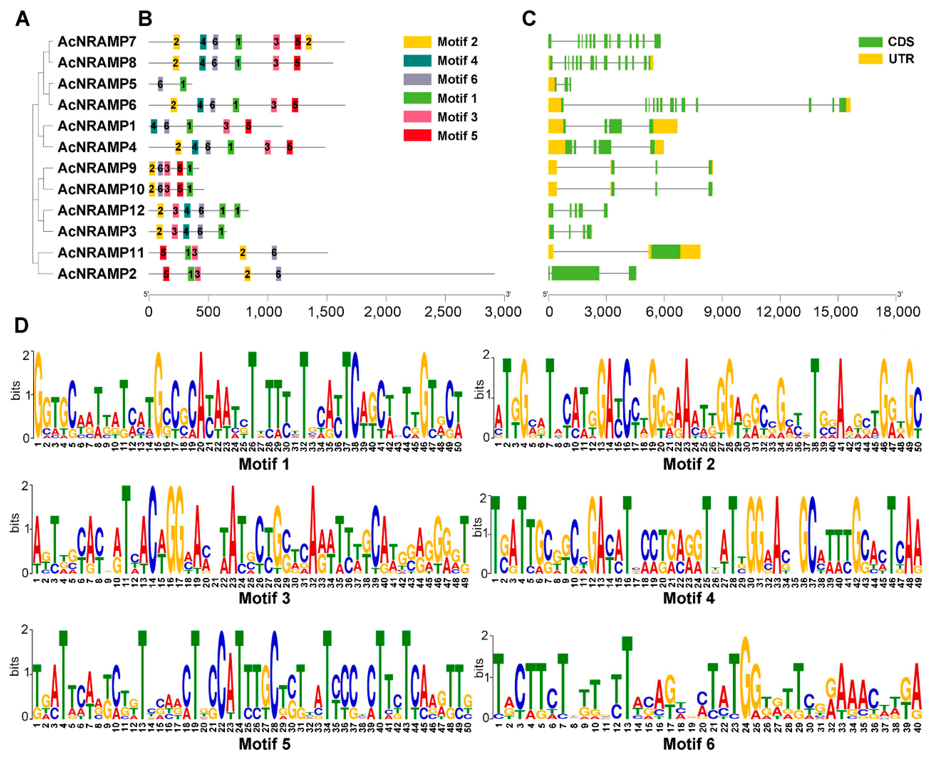 Ijms 24 07383 g005 Ijms 24 07383 g005