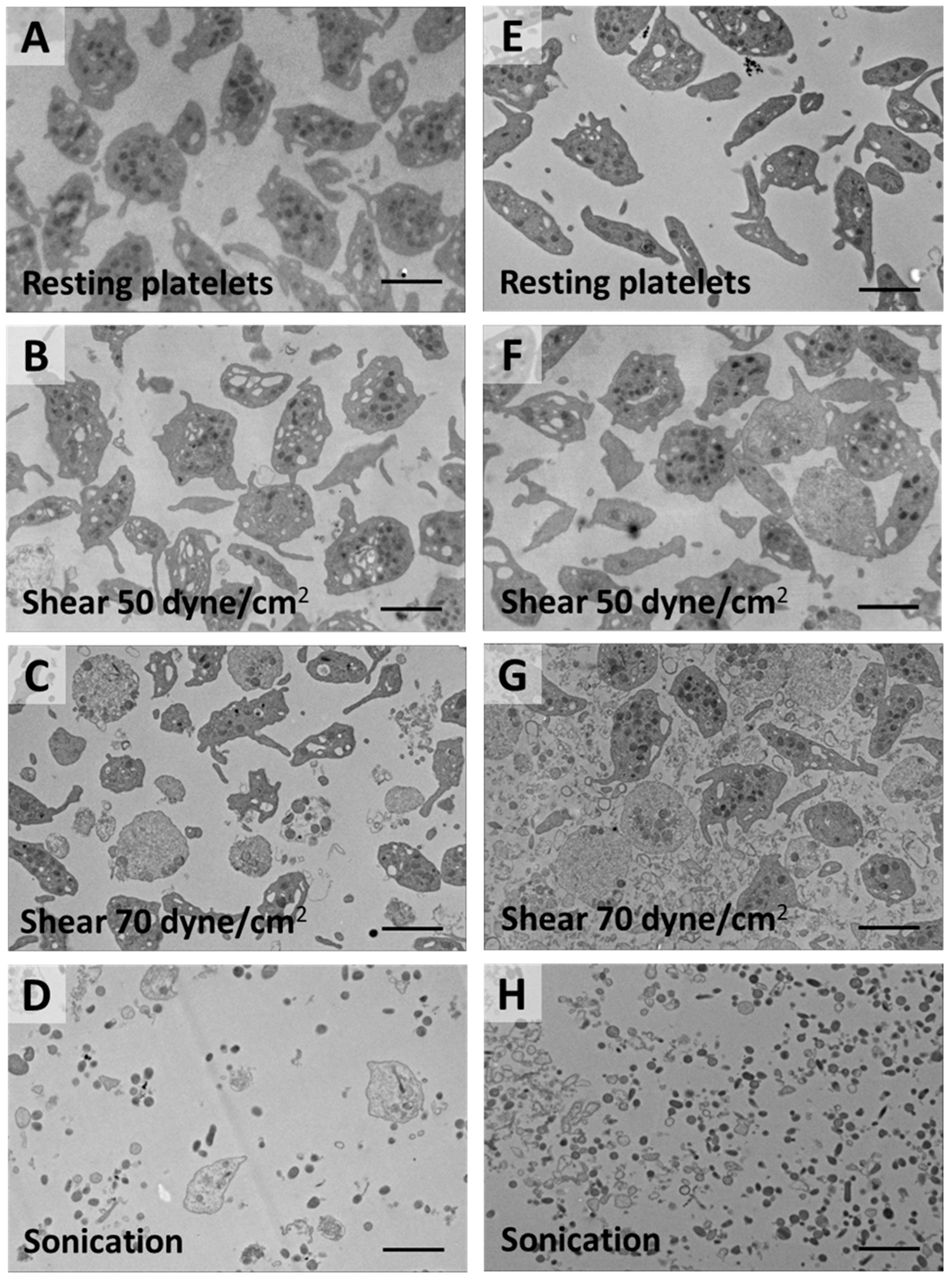 Ijms 24 07386 g001 Ijms 24 07386 g001