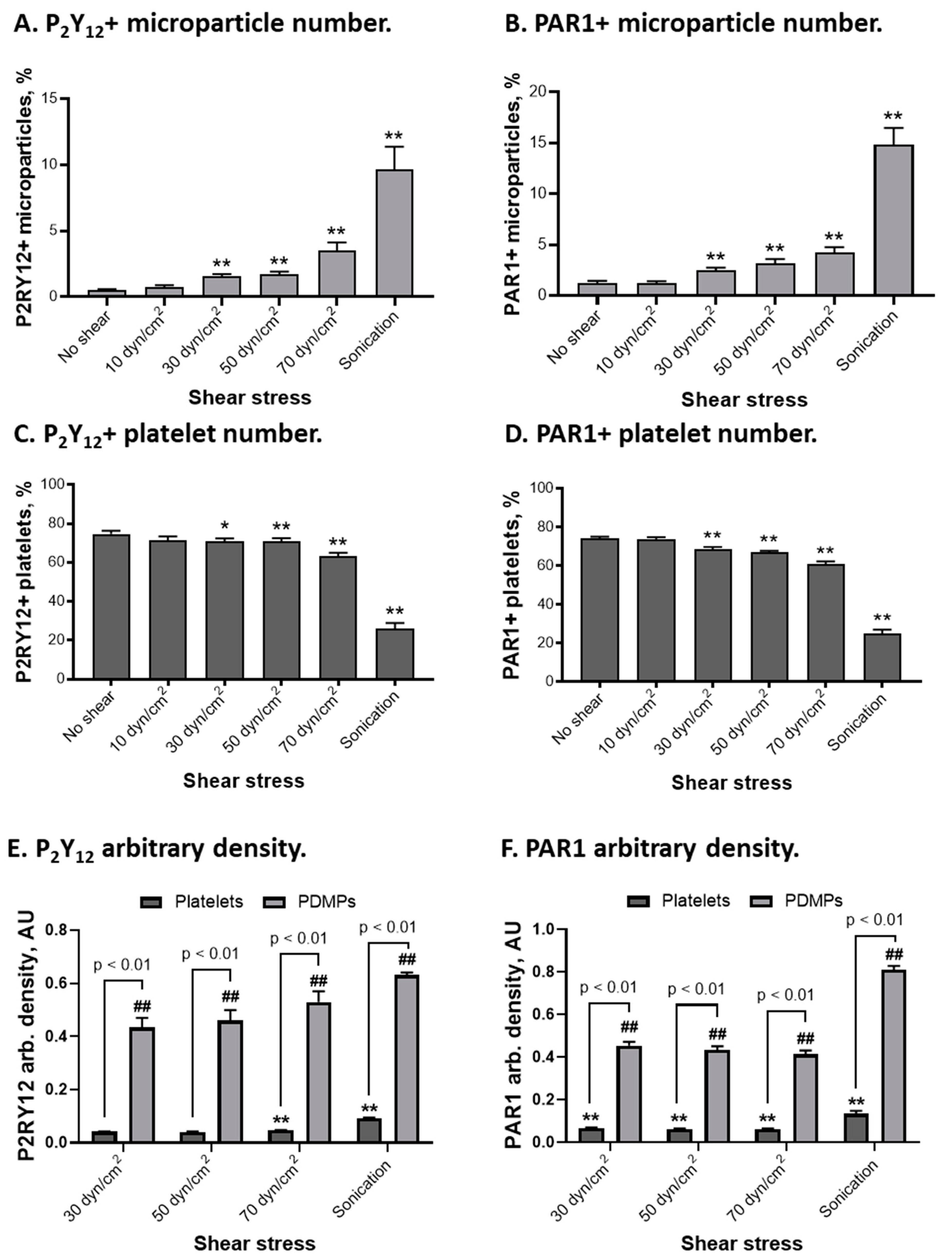 Ijms 24 07386 g007 Ijms 24 07386 g007