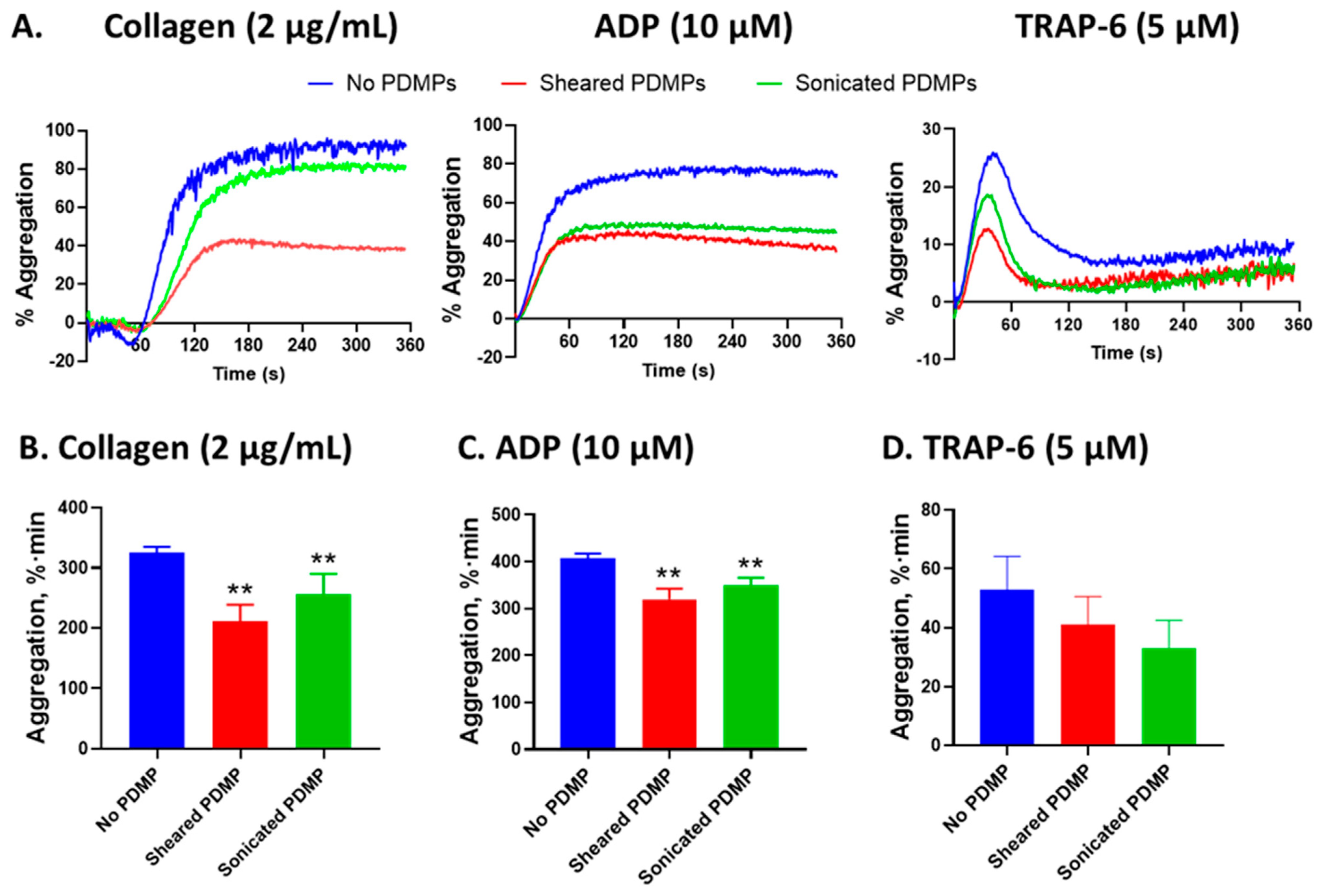 Ijms 24 07386 g009 Ijms 24 07386 g009