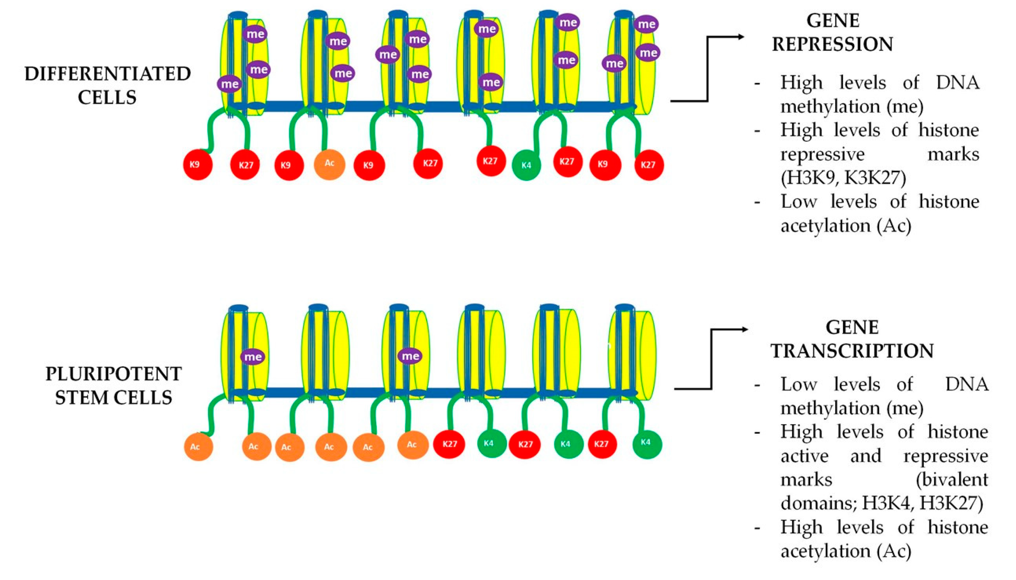 Ijms 24 07389 g003 Ijms 24 07389 g003