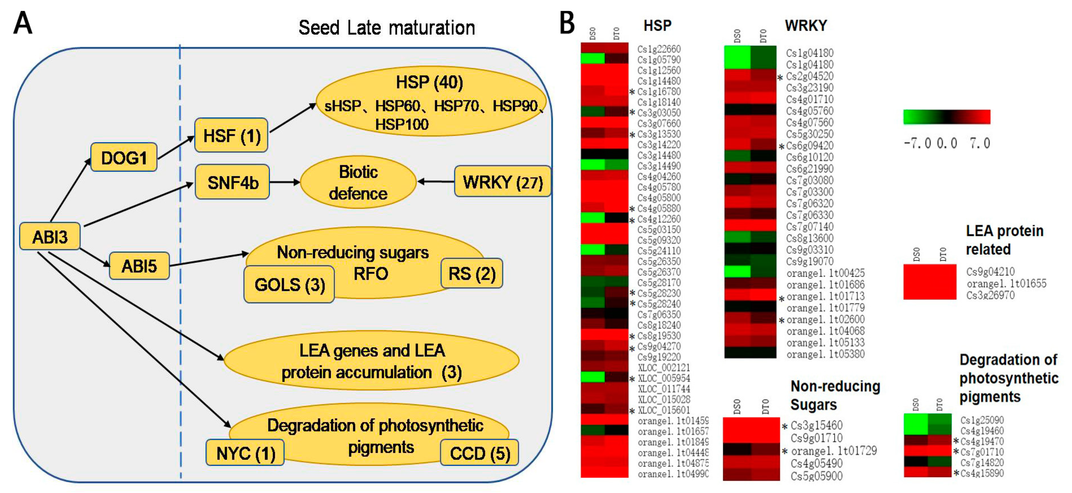 Ijms 24 07393 g006 Ijms 24 07393 g006
