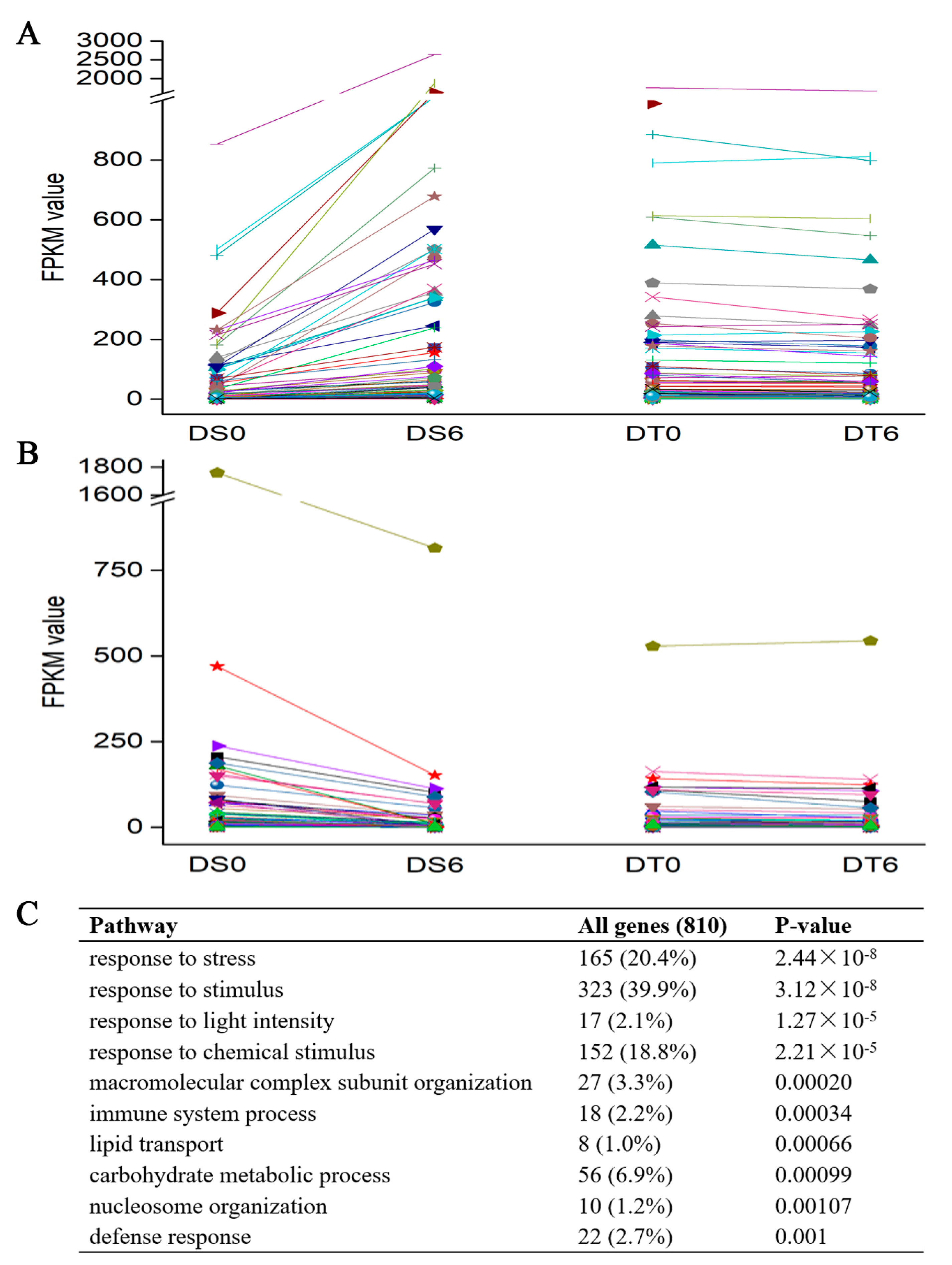 Ijms 24 07393 g007 Ijms 24 07393 g007