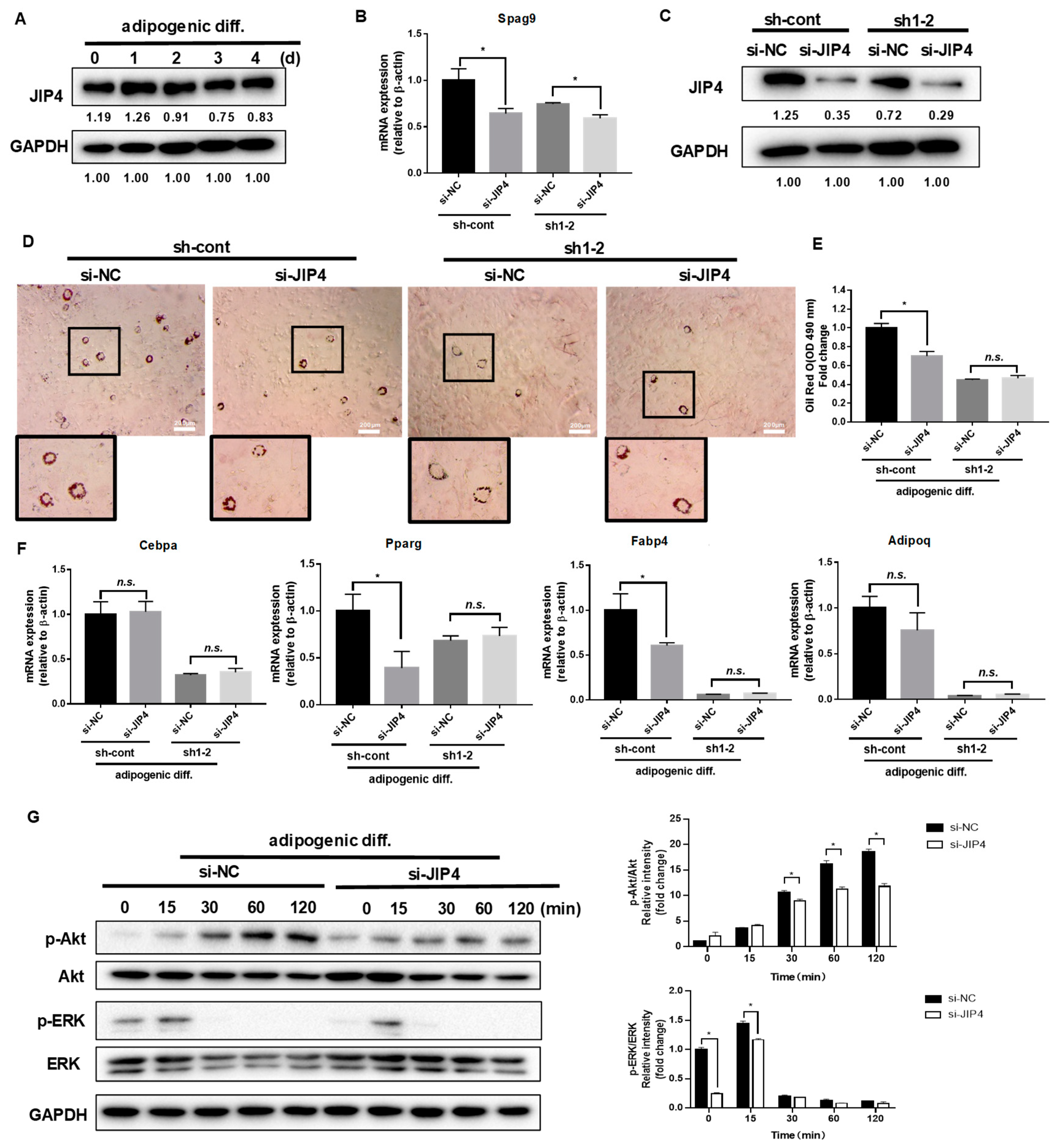 Ijms 24 07394 g003 Ijms 24 07394 g003