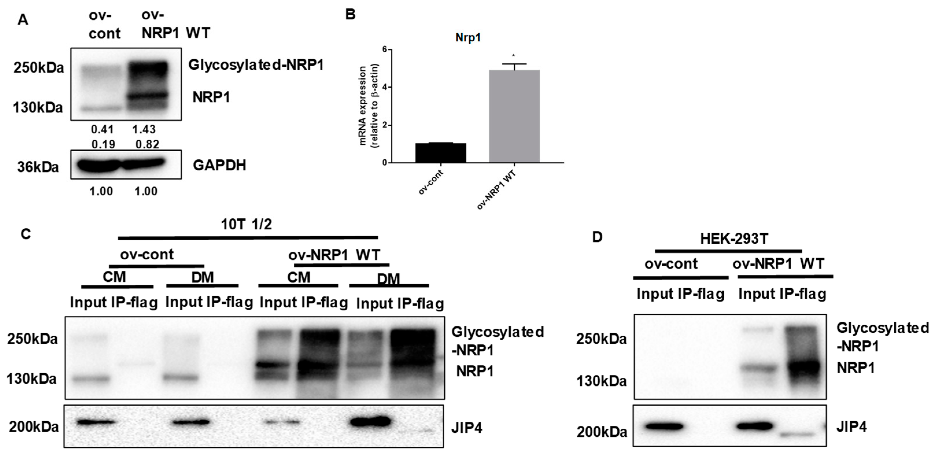 Ijms 24 07394 g004 Ijms 24 07394 g004