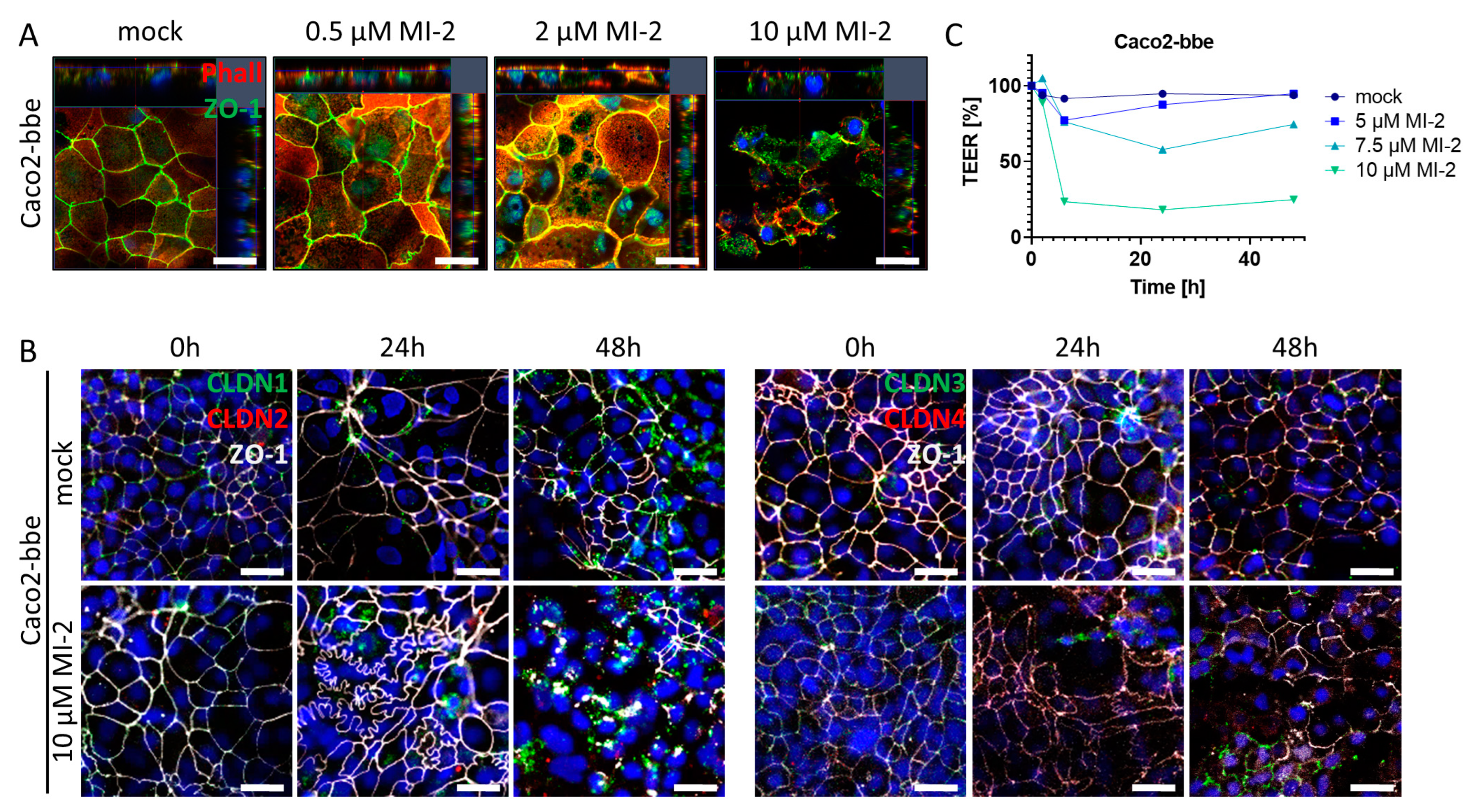 Ijms 24 07402 g005 Ijms 24 07402 g005