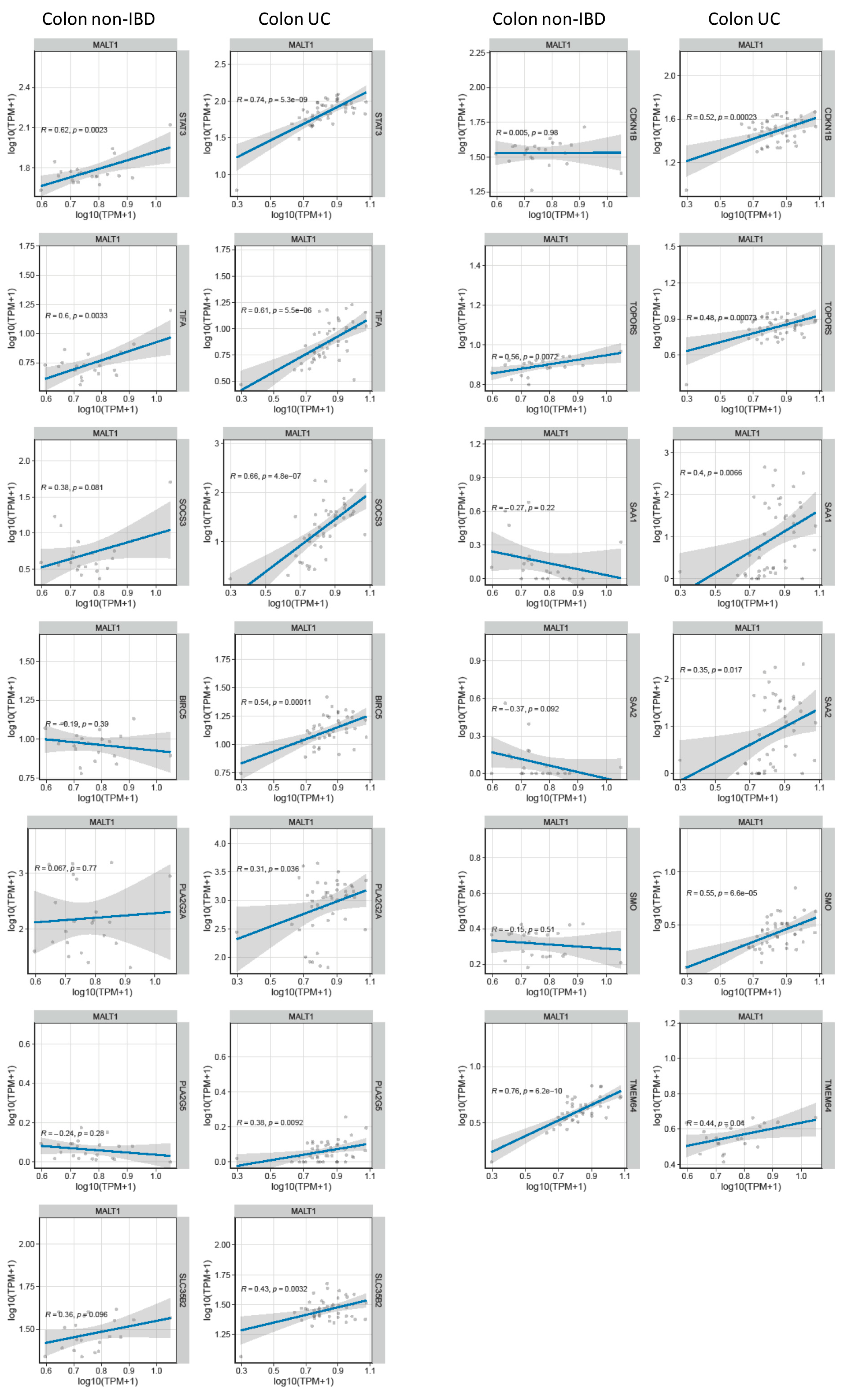 Ijms 24 07402 g007 Ijms 24 07402 g007