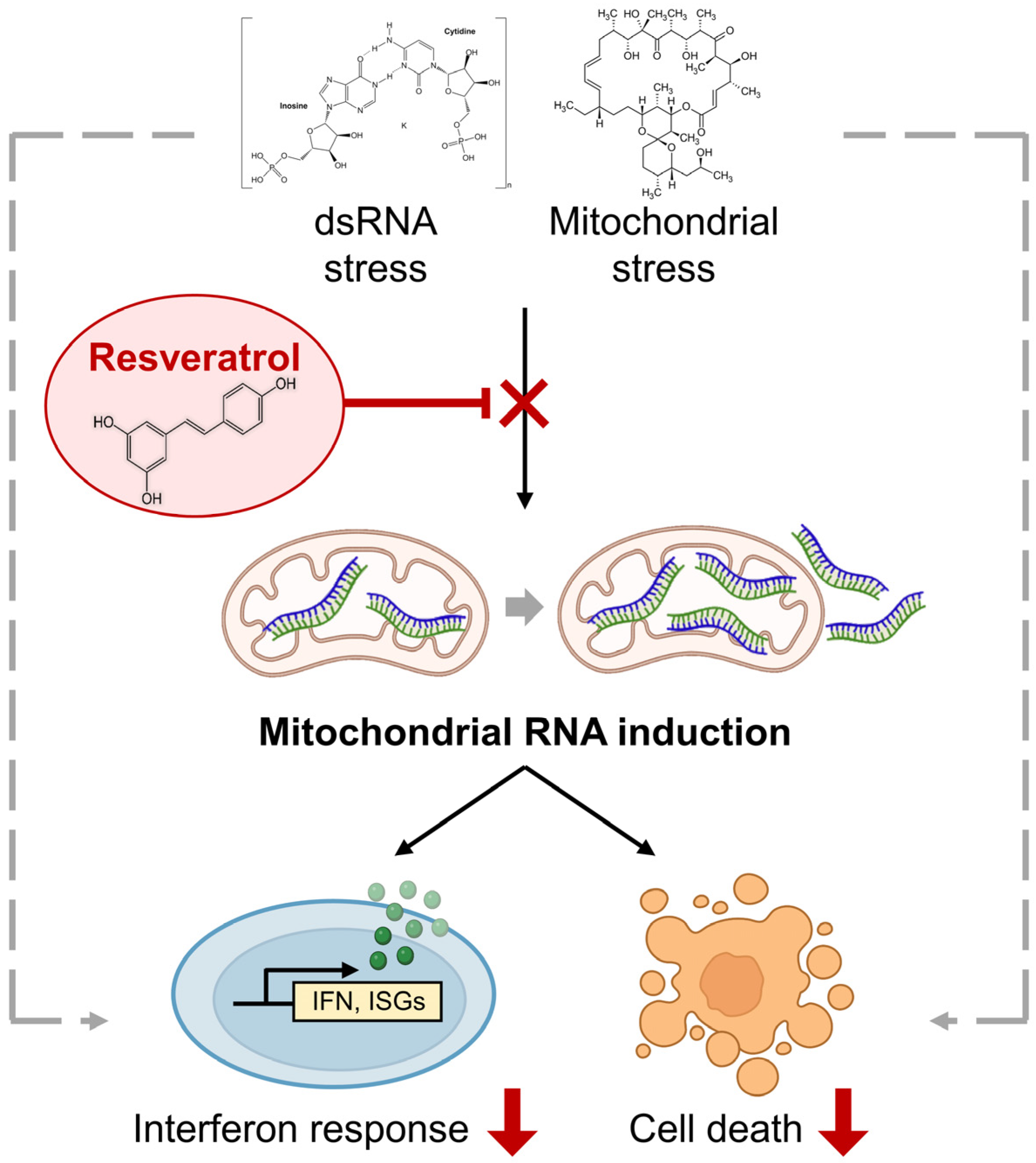 Ijms 24 07403 g005 Ijms 24 07403 g005