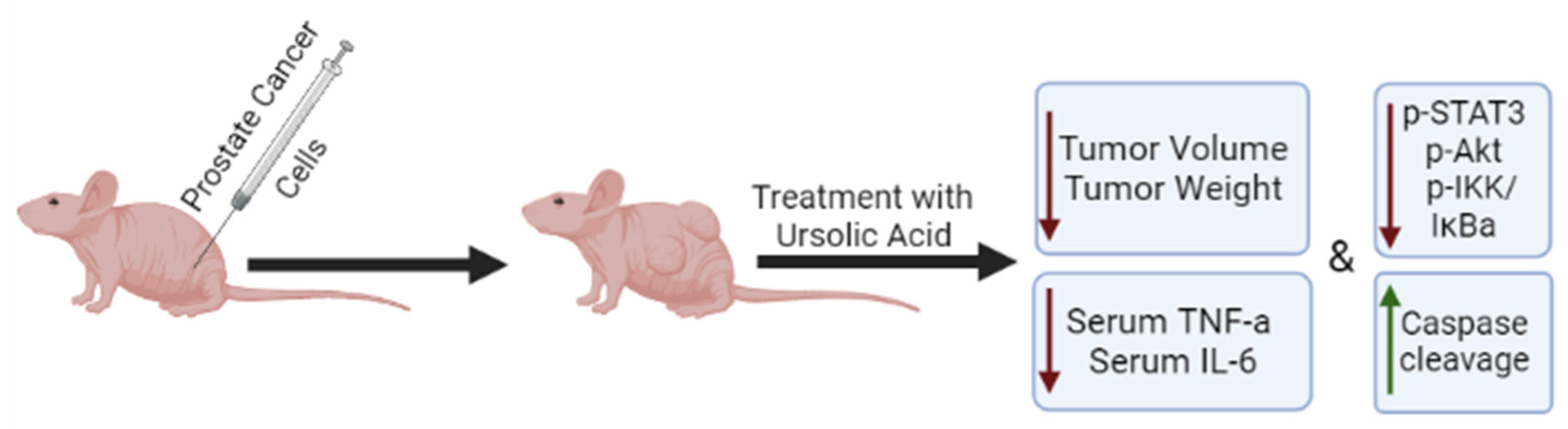 Ijms 24 07414 g003 Ijms 24 07414 g003