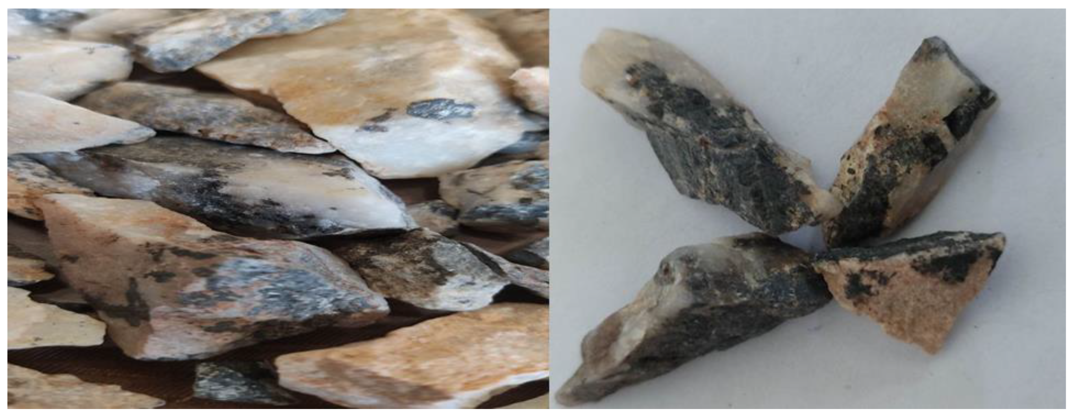 Ijms 24 07423 g018 Ijms 24 07423 g018