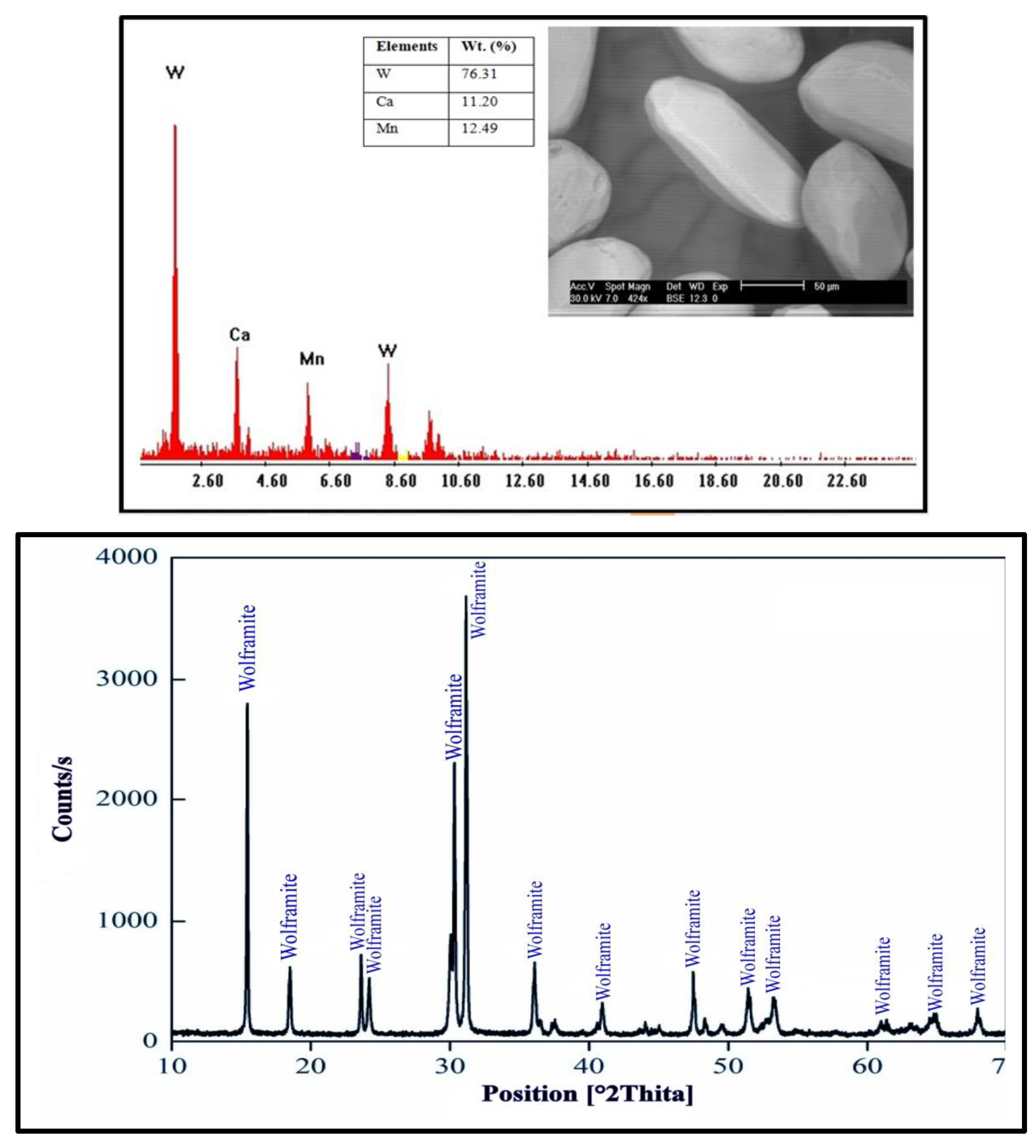 Ijms 24 07423 g019 Ijms 24 07423 g019