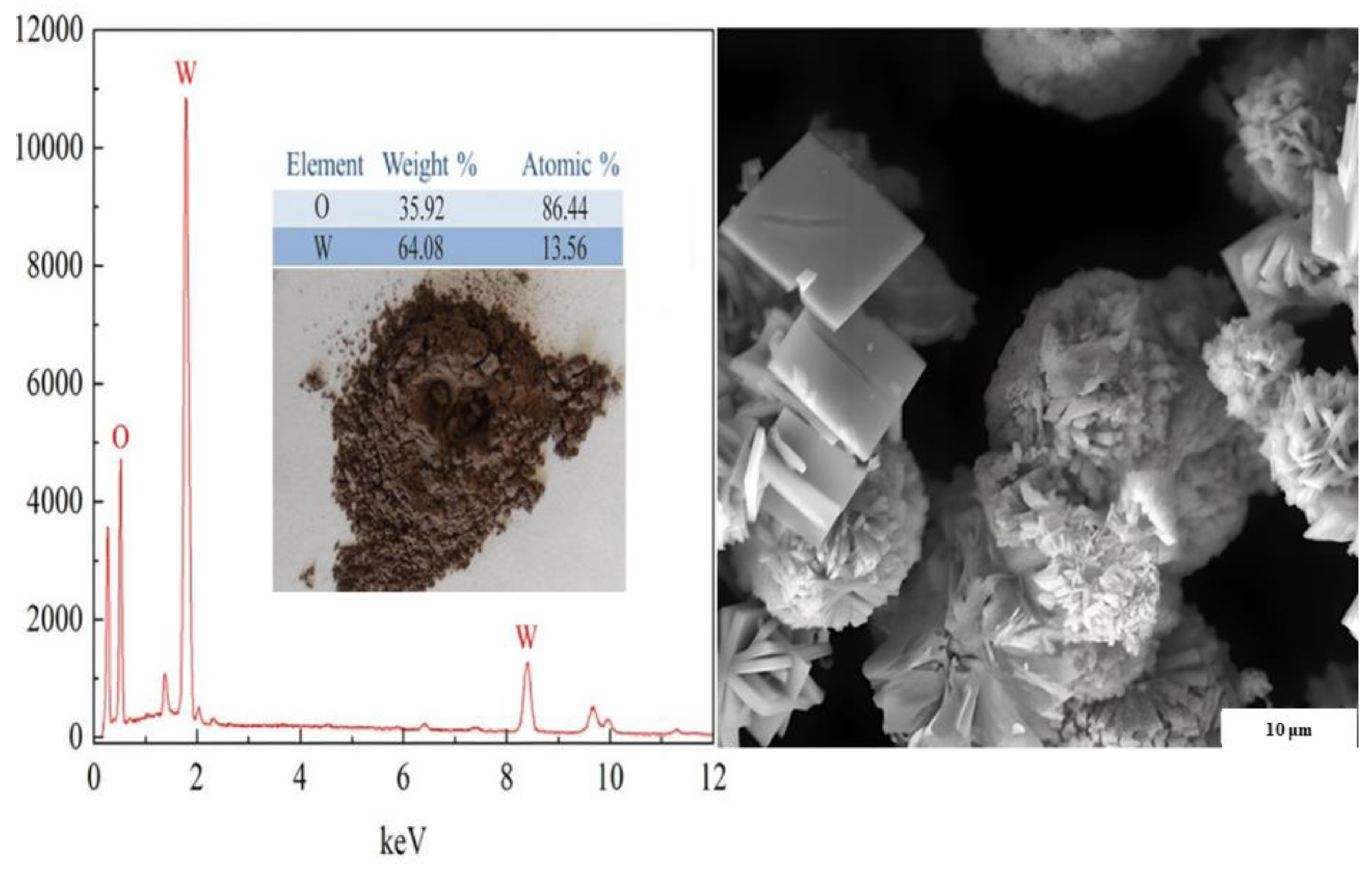 Ijms 24 07423 g020 Ijms 24 07423 g020