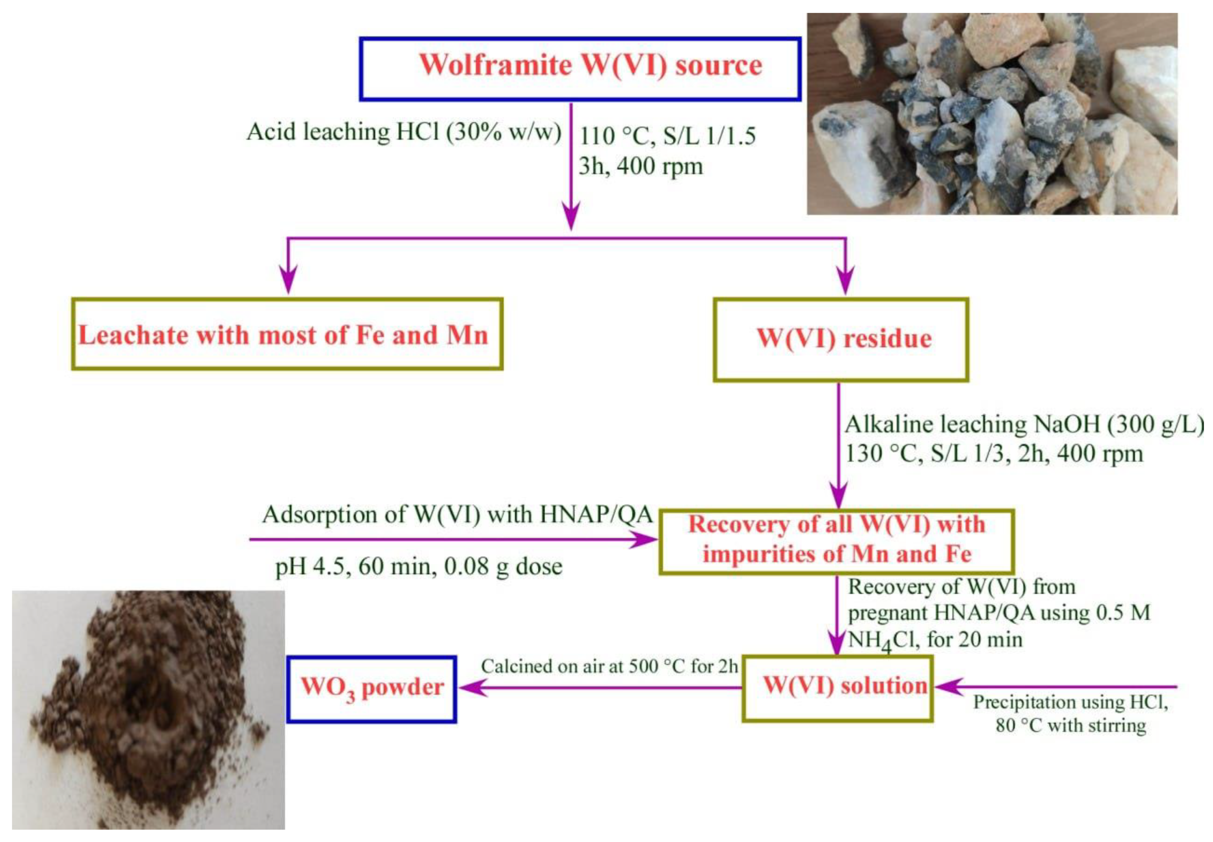 Ijms 24 07423 g021 Ijms 24 07423 g021