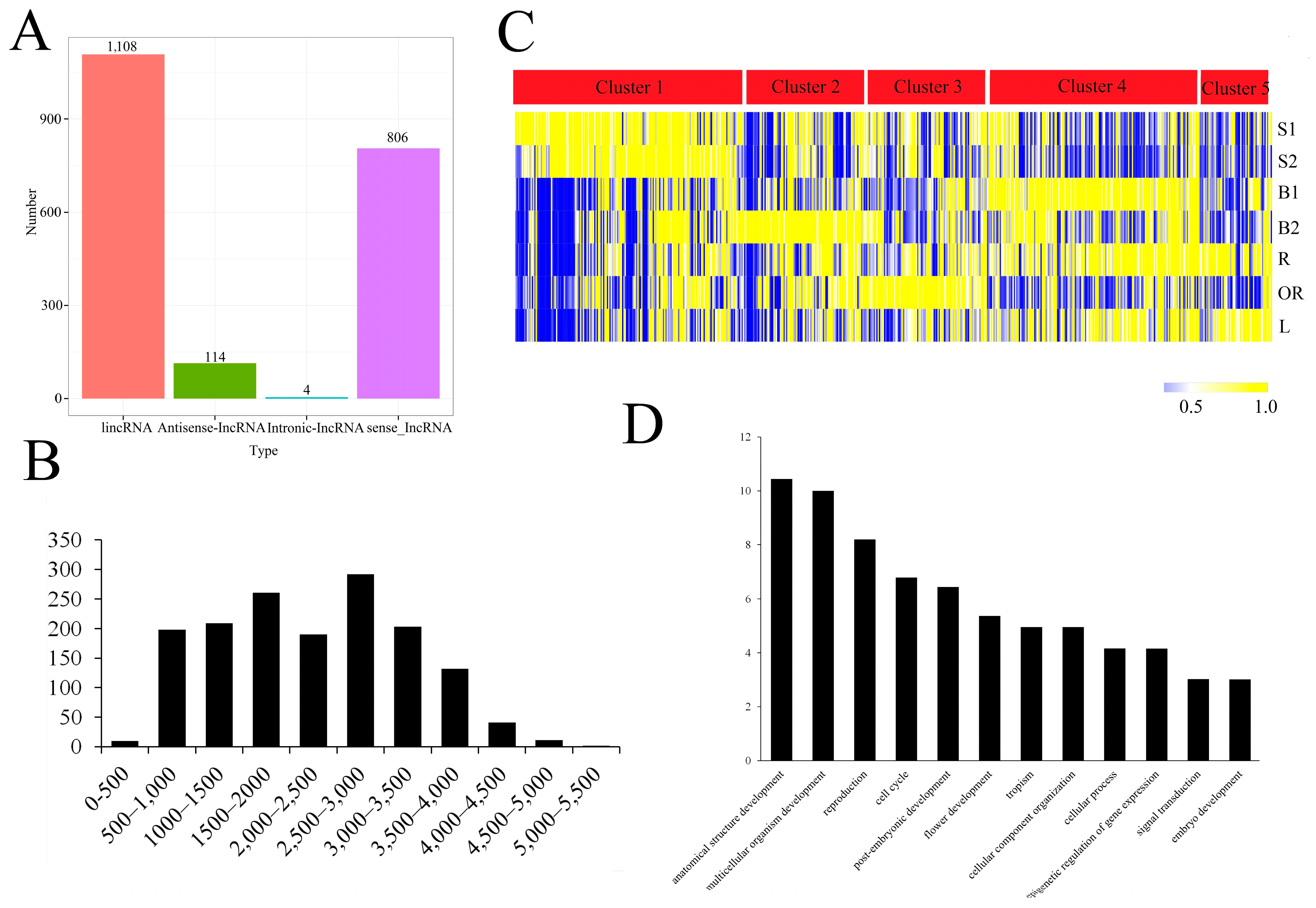 Ijms 24 07425 g004 Ijms 24 07425 g004