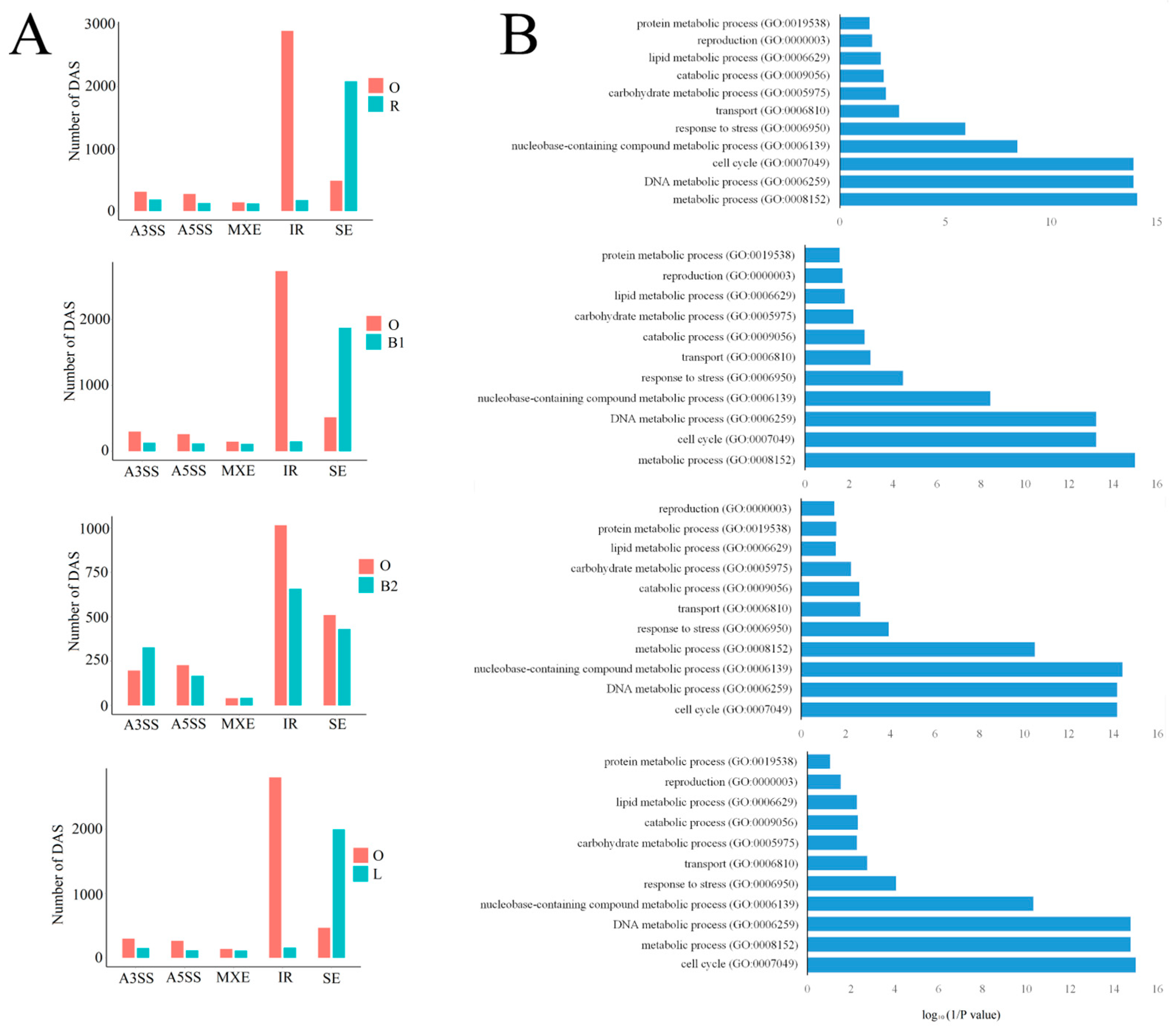 Ijms 24 07425 g008 Ijms 24 07425 g008