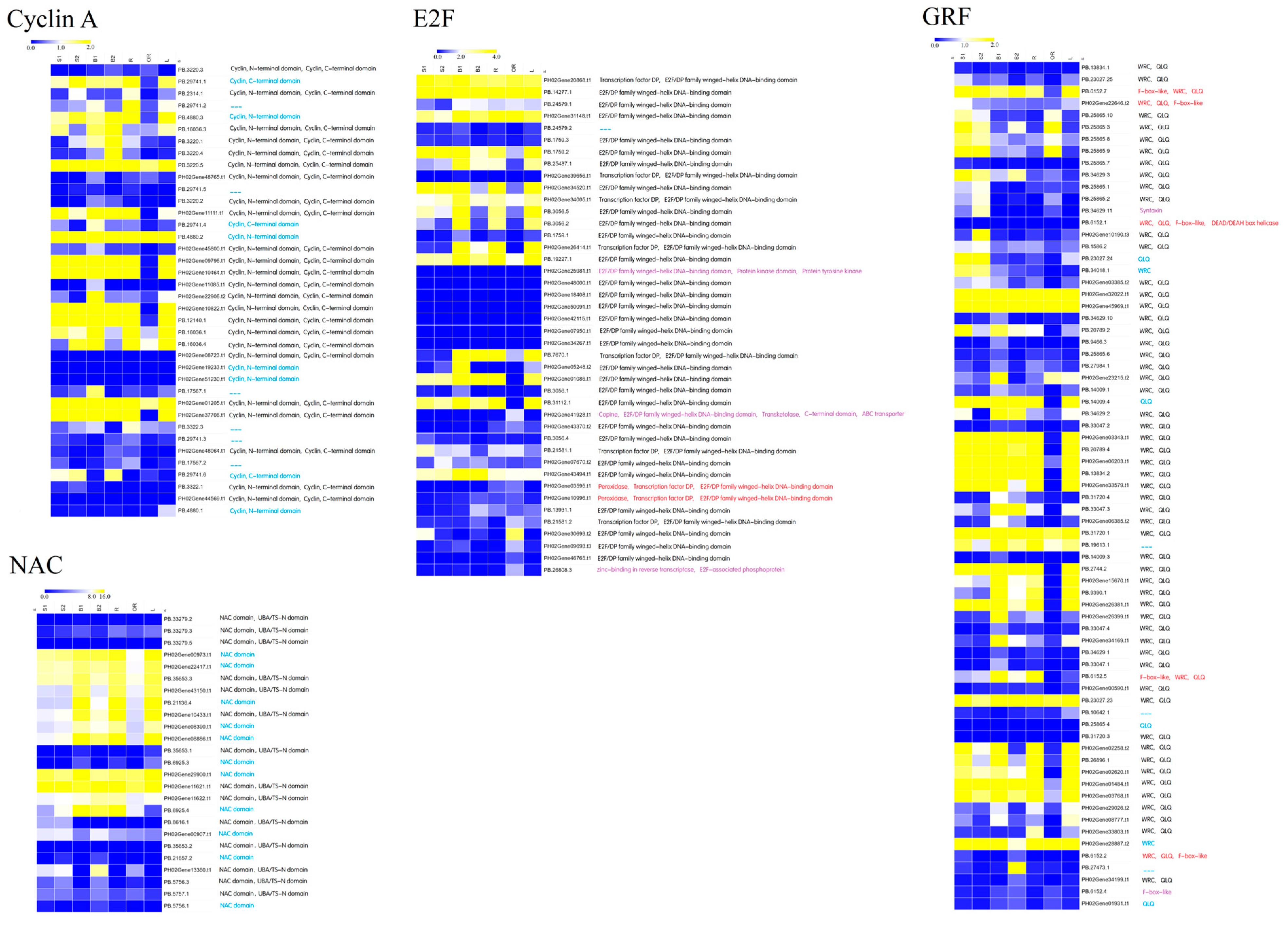 Ijms 24 07425 g009 Ijms 24 07425 g009