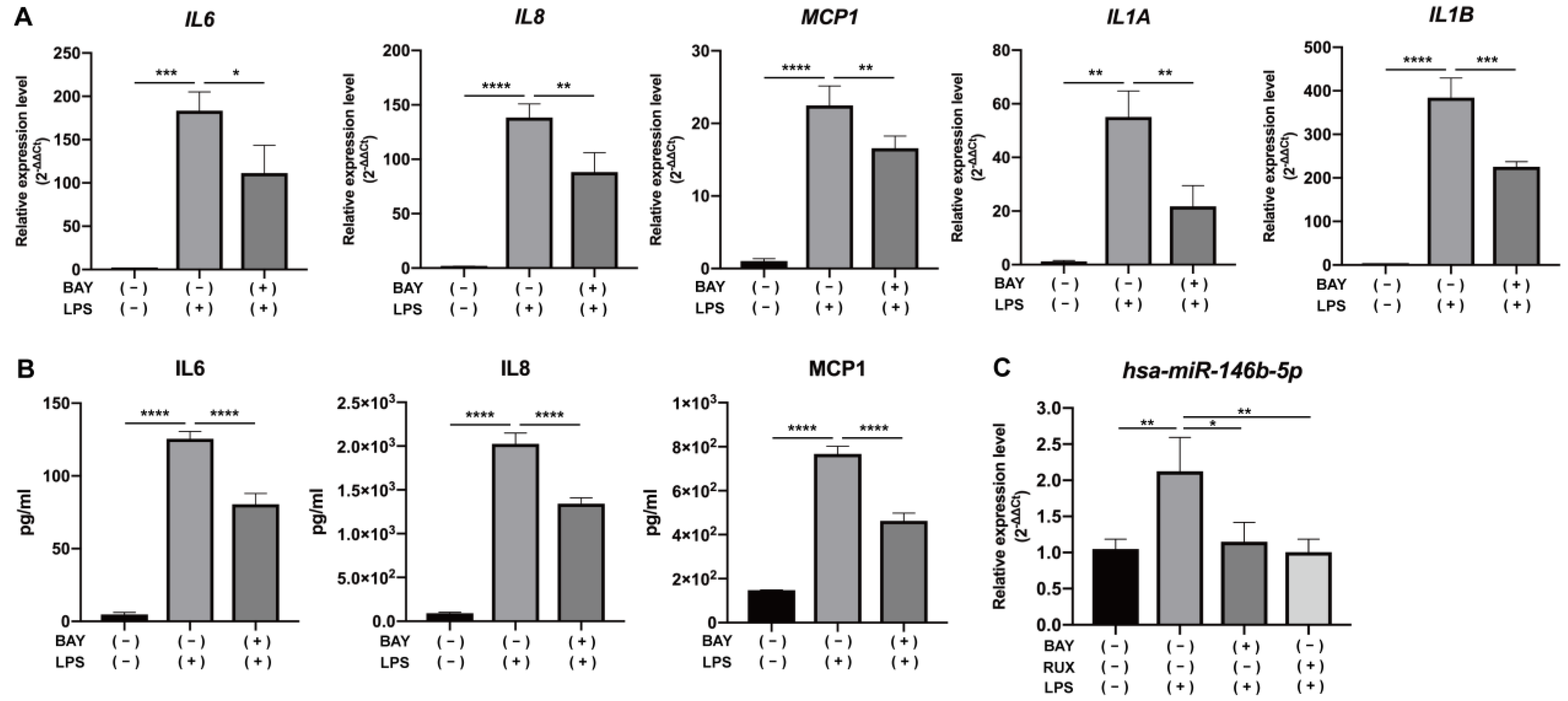 Ijms 24 07433 g002 Ijms 24 07433 g002