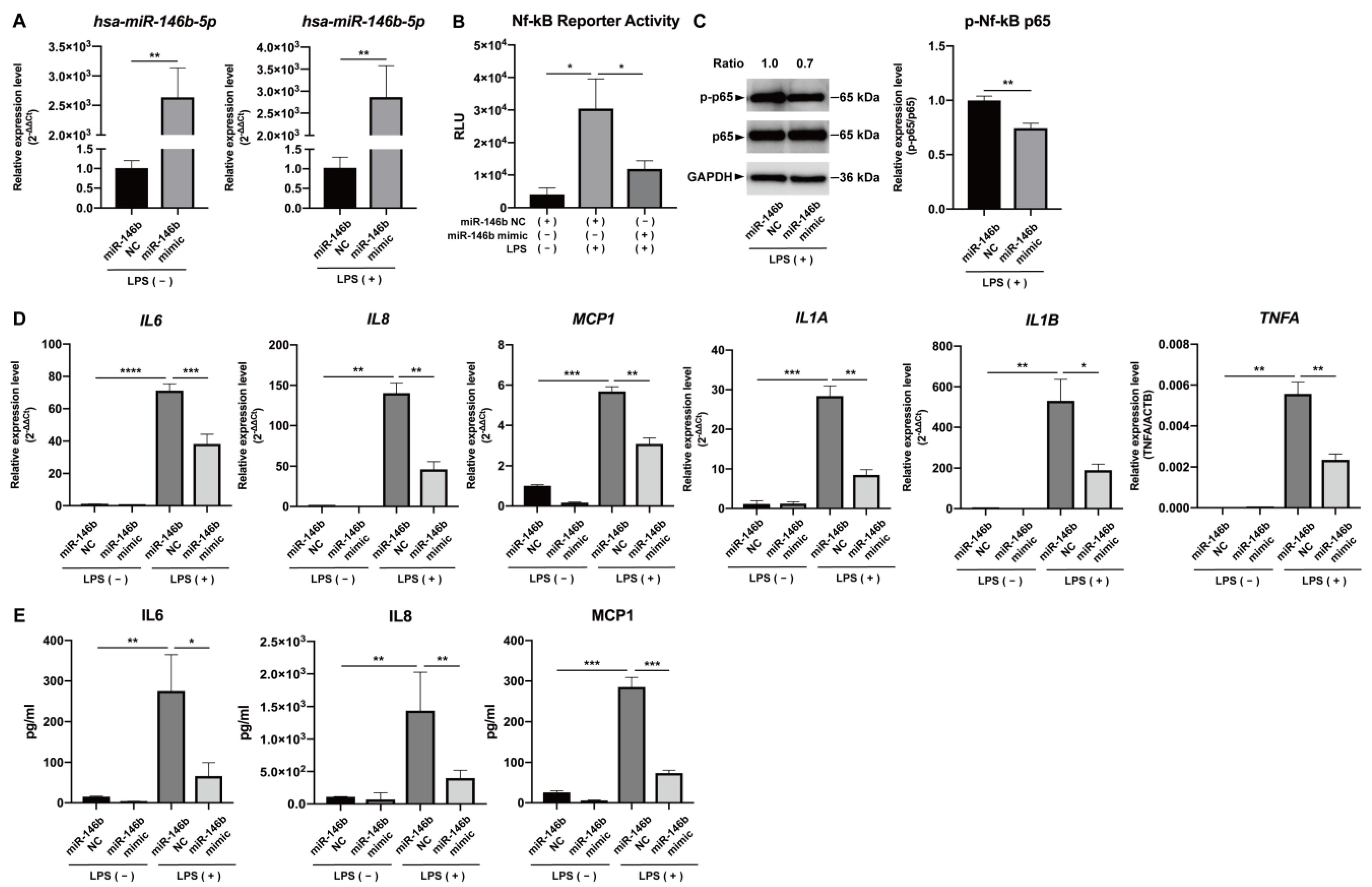 Ijms 24 07433 g003 Ijms 24 07433 g003