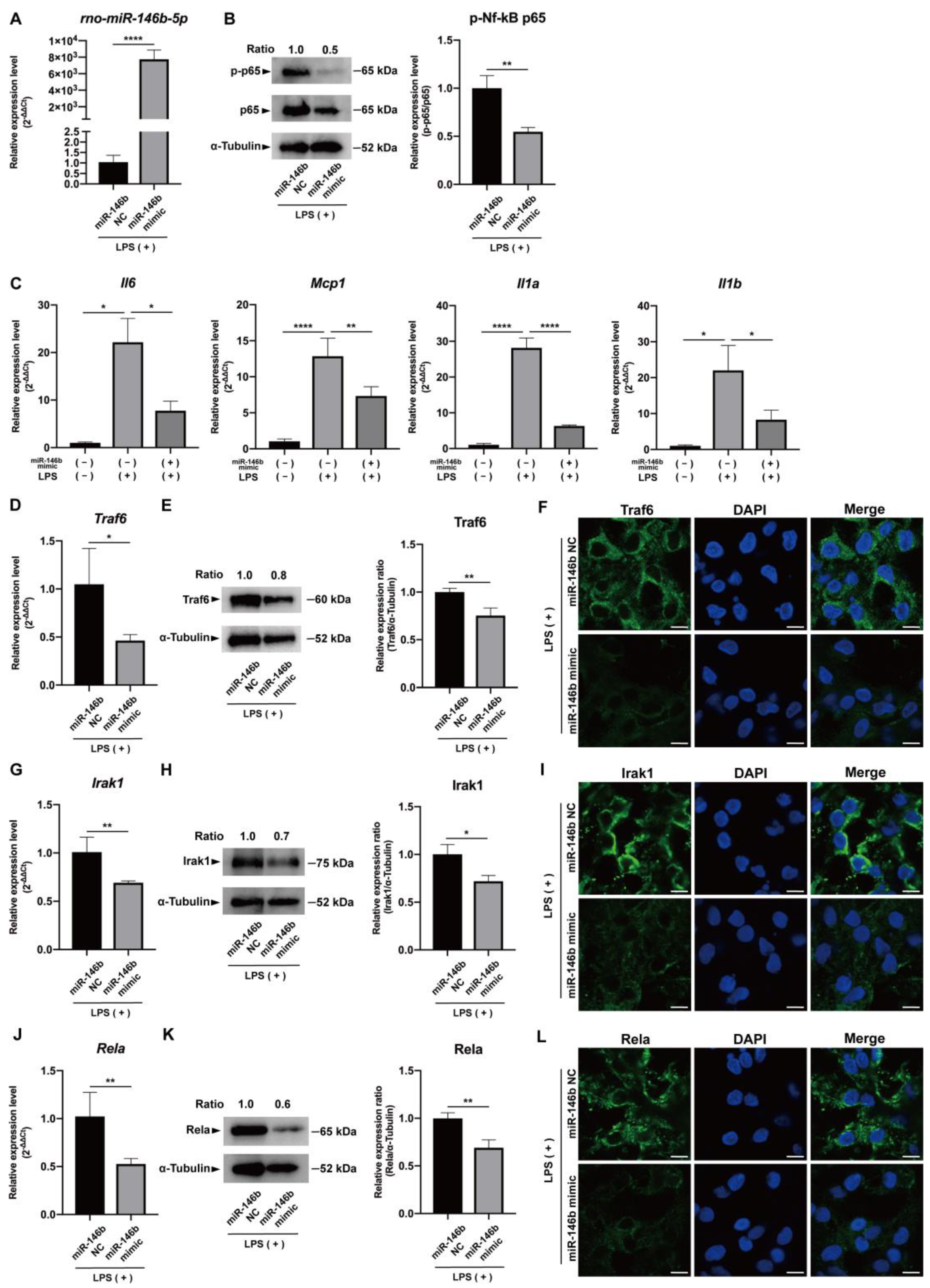 Ijms 24 07433 g006 Ijms 24 07433 g006