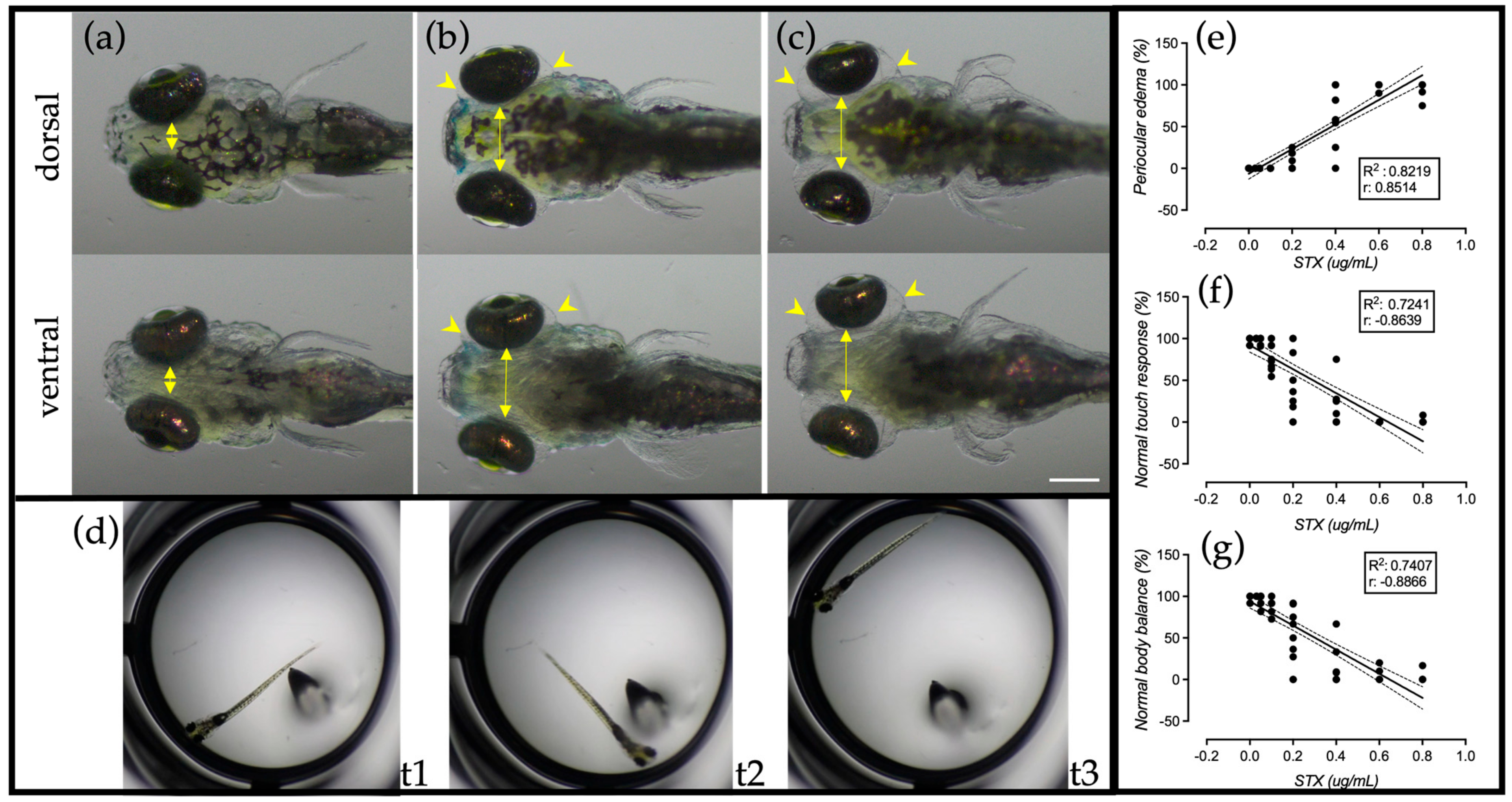 Ijms 24 07466 g003 Ijms 24 07466 g003