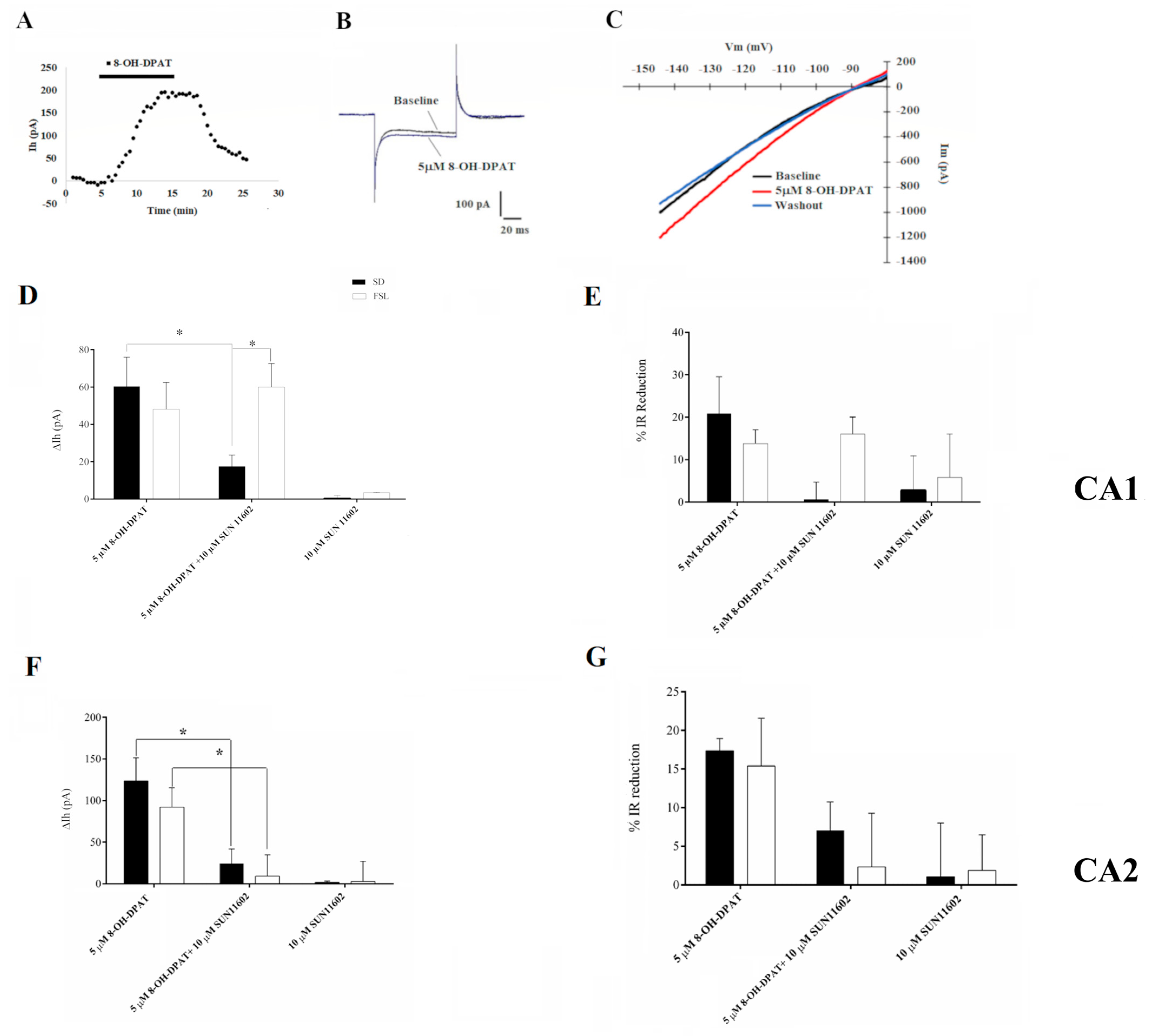 Ijms 24 07467 g001 Ijms 24 07467 g001