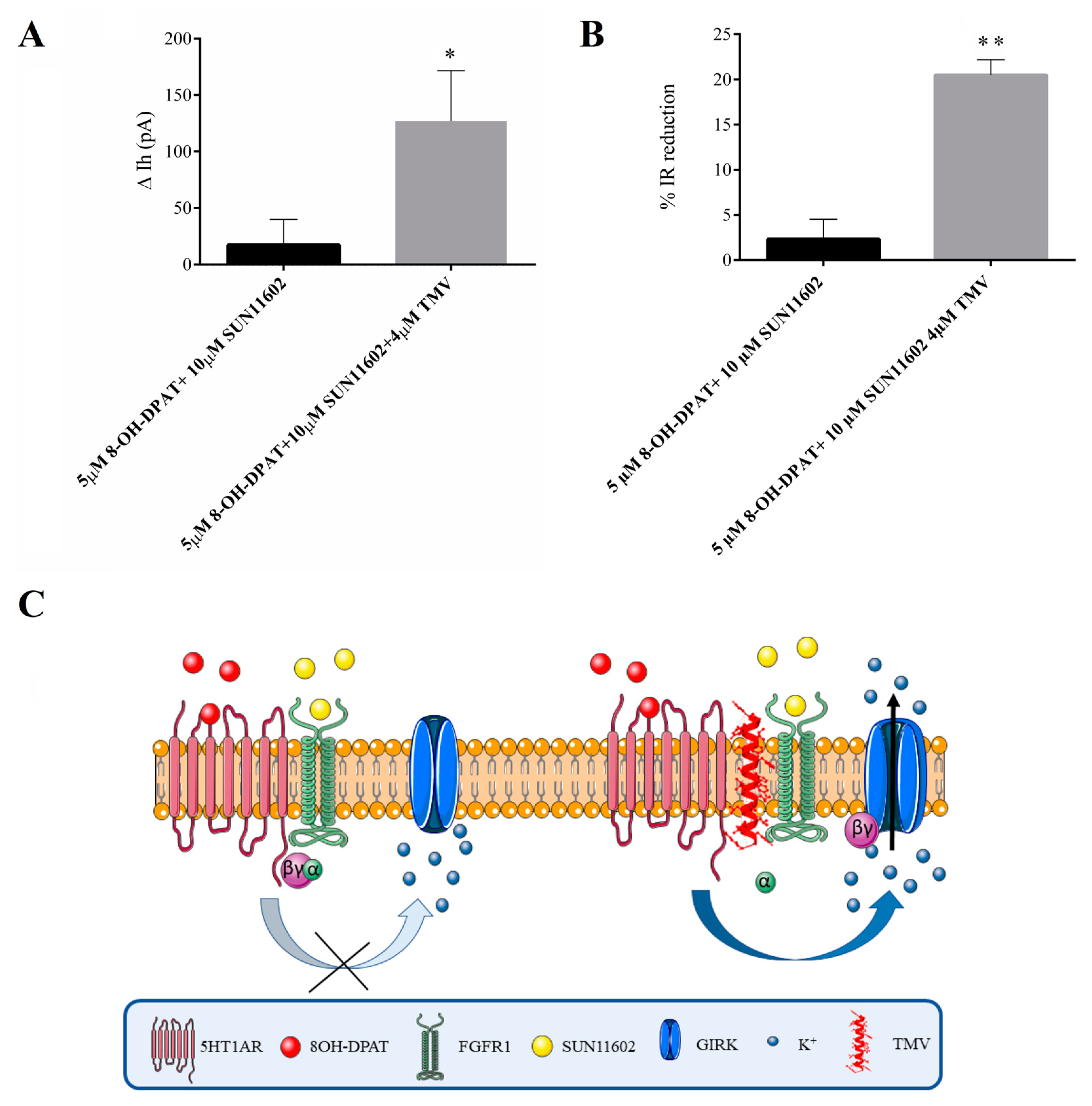 Ijms 24 07467 g002 Ijms 24 07467 g002