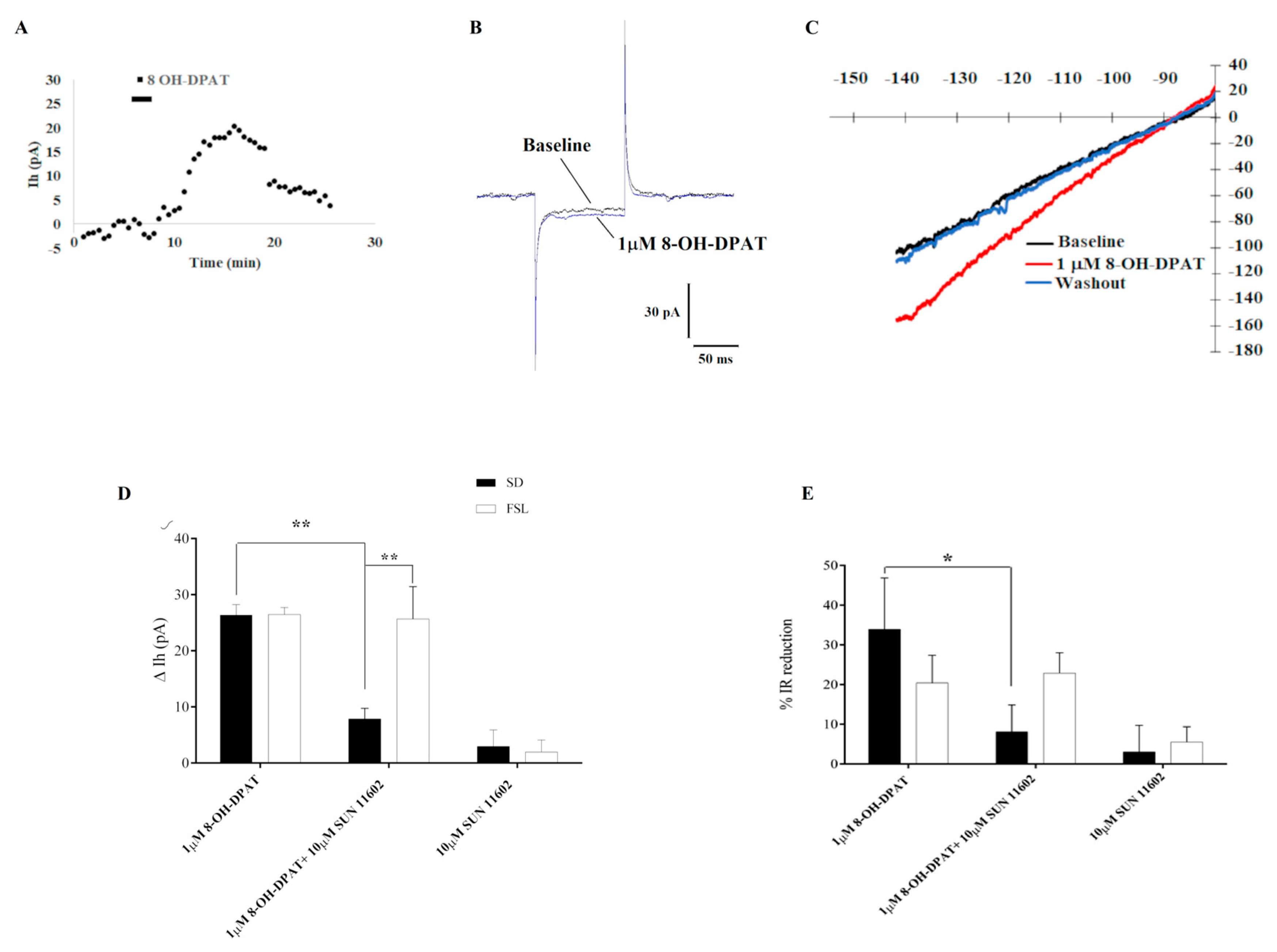 Ijms 24 07467 g004 Ijms 24 07467 g004