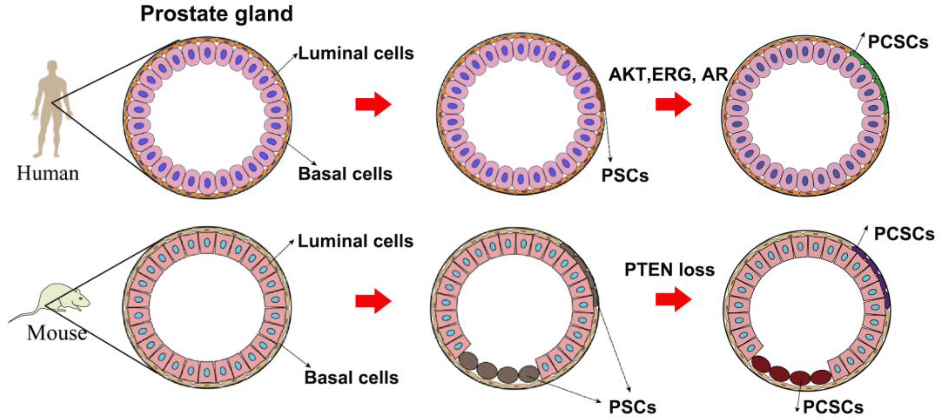 Ijms 24 07482 g001 Ijms 24 07482 g001