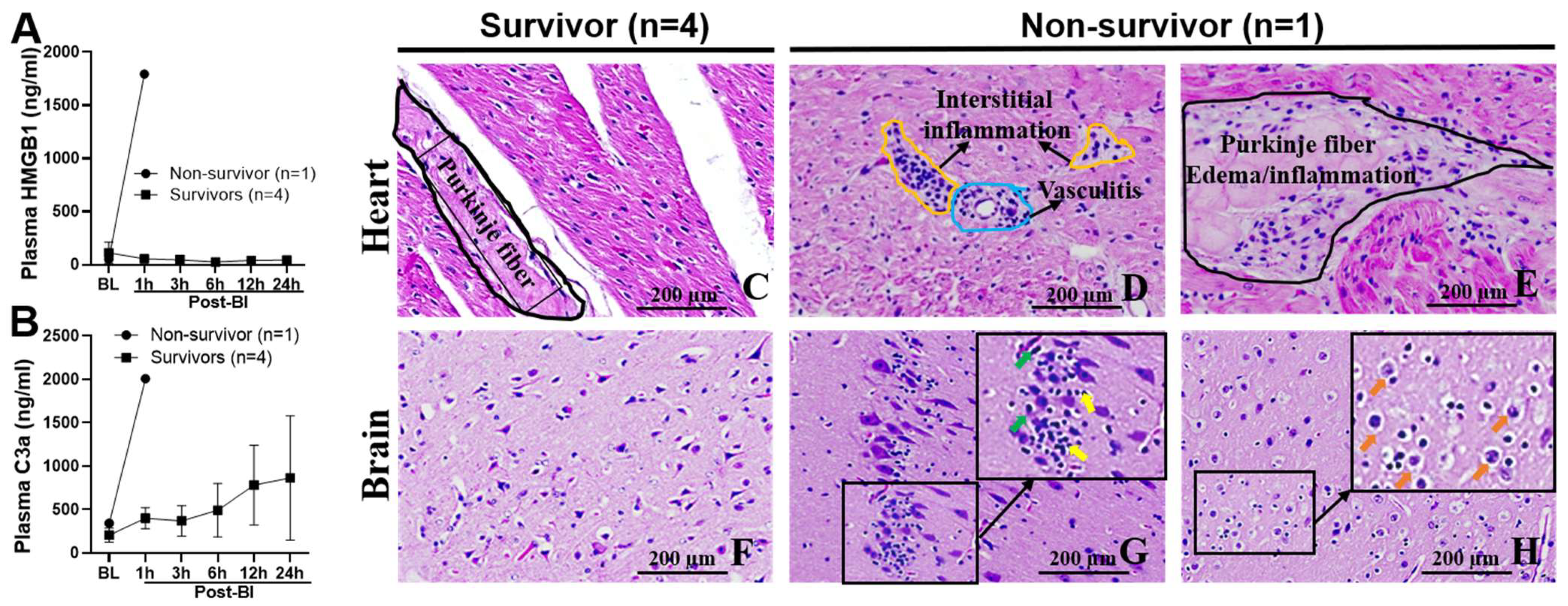 Ijms 24 07494 g005 Ijms 24 07494 g005