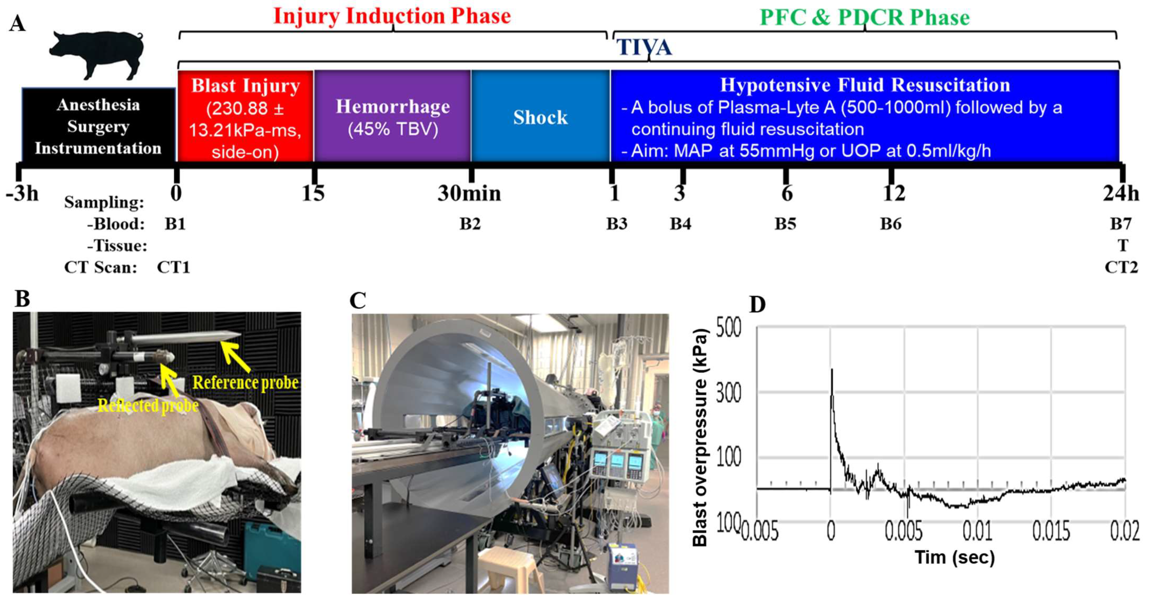 Ijms 24 07494 g006 Ijms 24 07494 g006