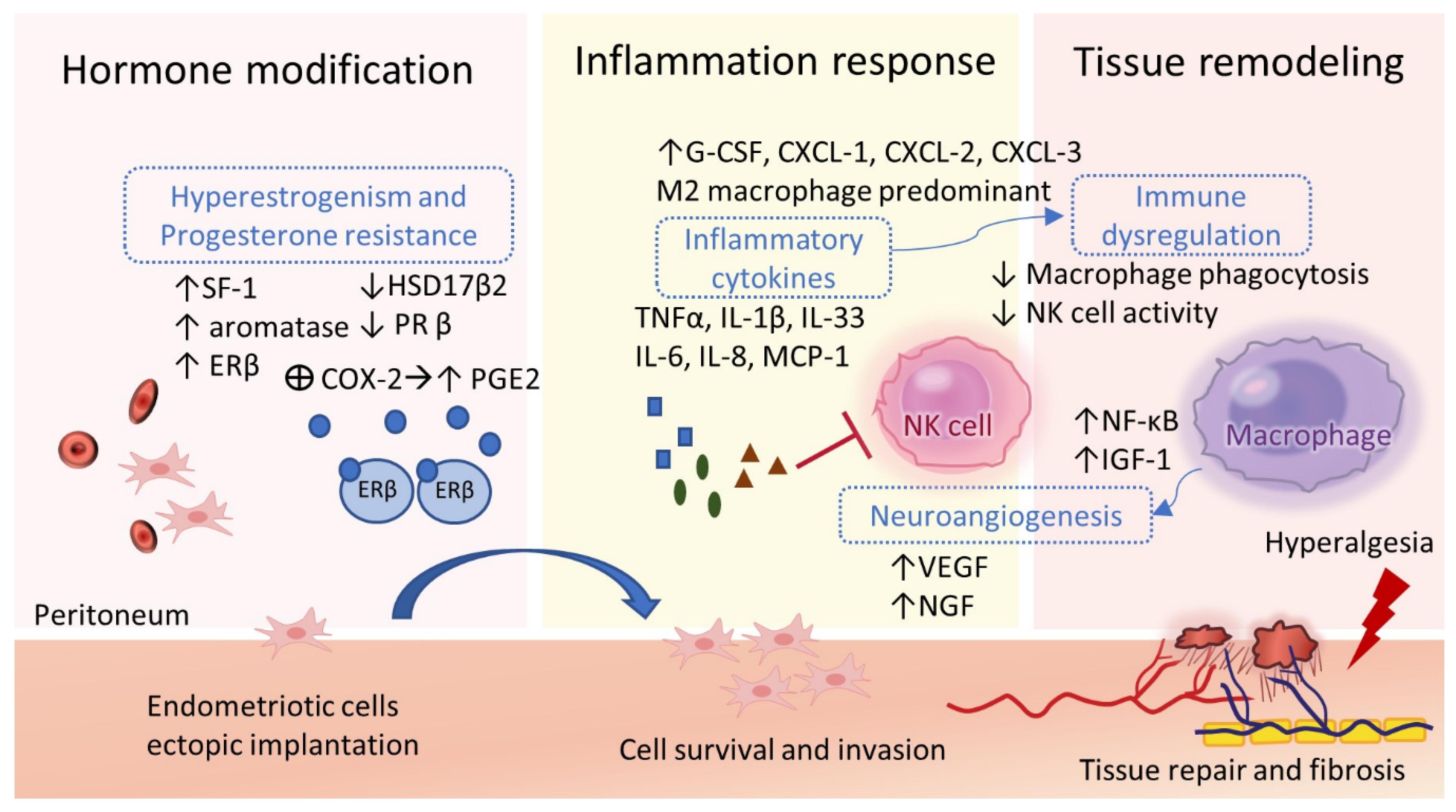 Ijms 24 07503 g002 Ijms 24 07503 g002