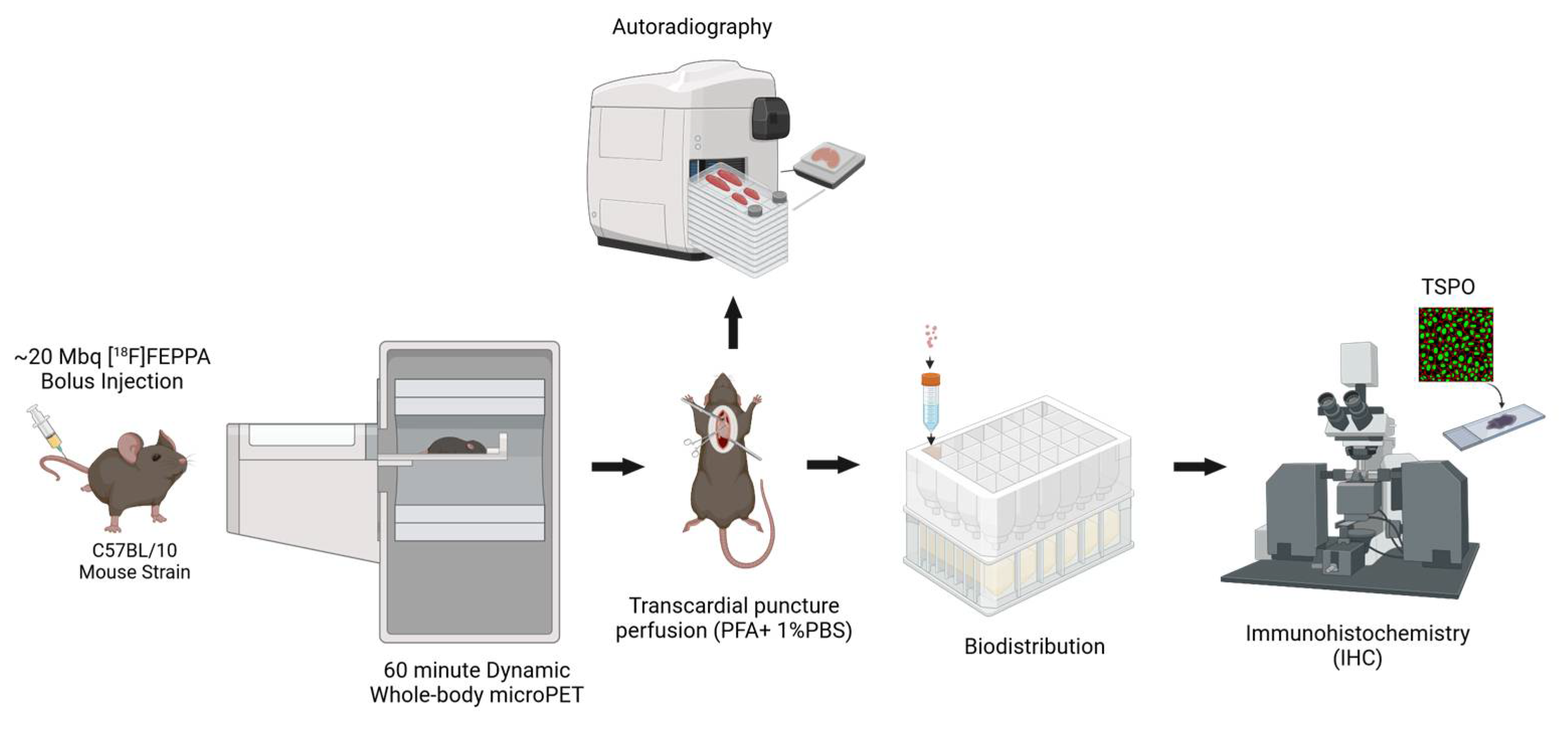 Ijms 24 07522 g002 Ijms 24 07522 g002