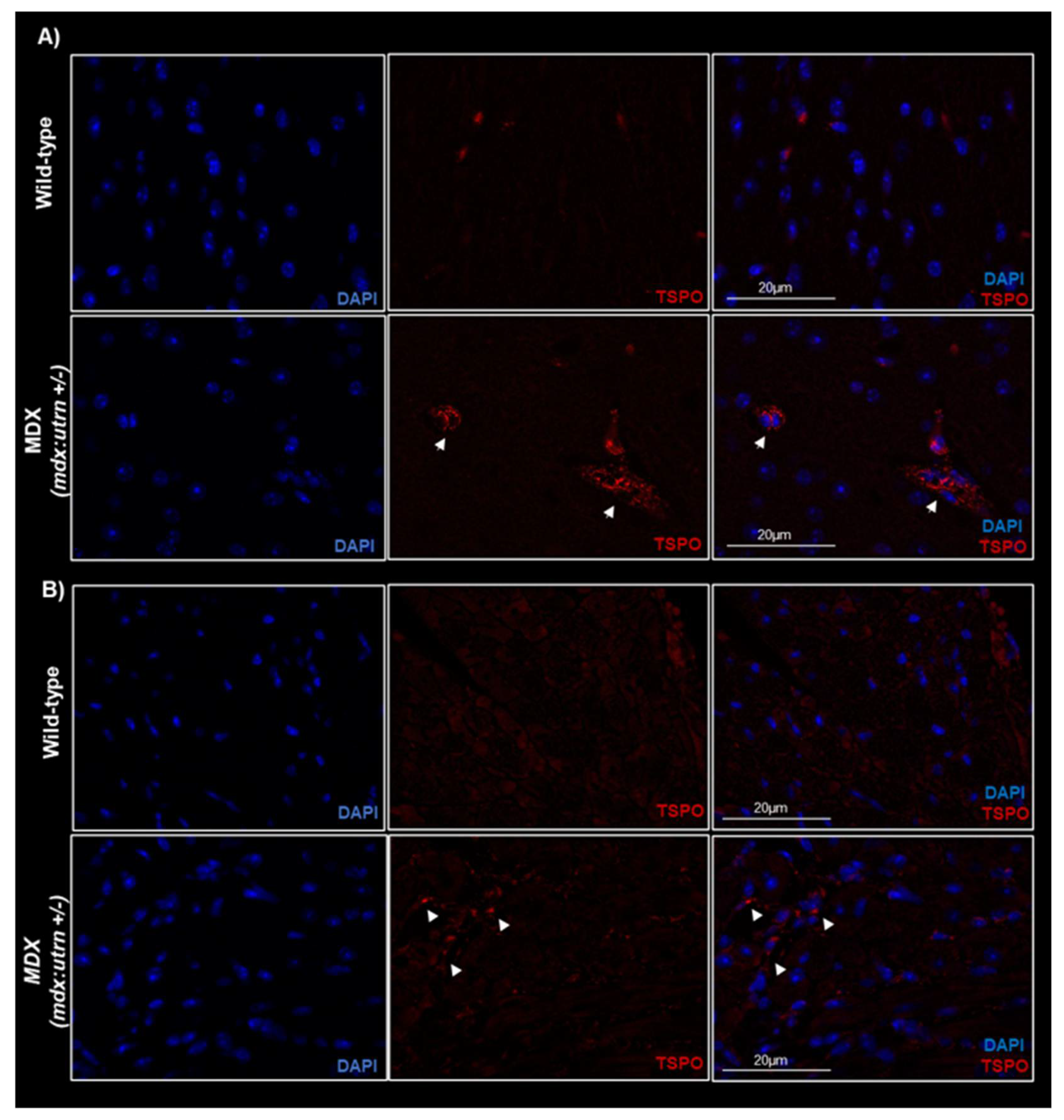 Ijms 24 07522 g005 Ijms 24 07522 g005