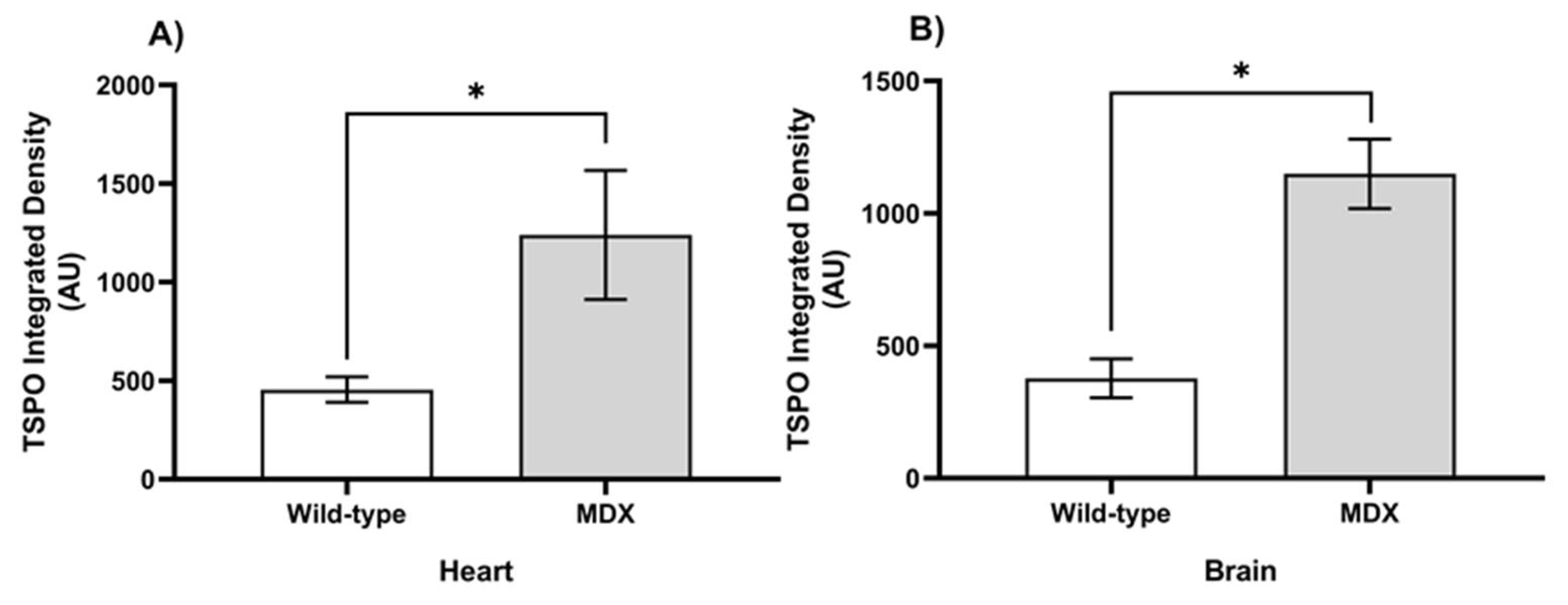 Ijms 24 07522 g006 Ijms 24 07522 g006