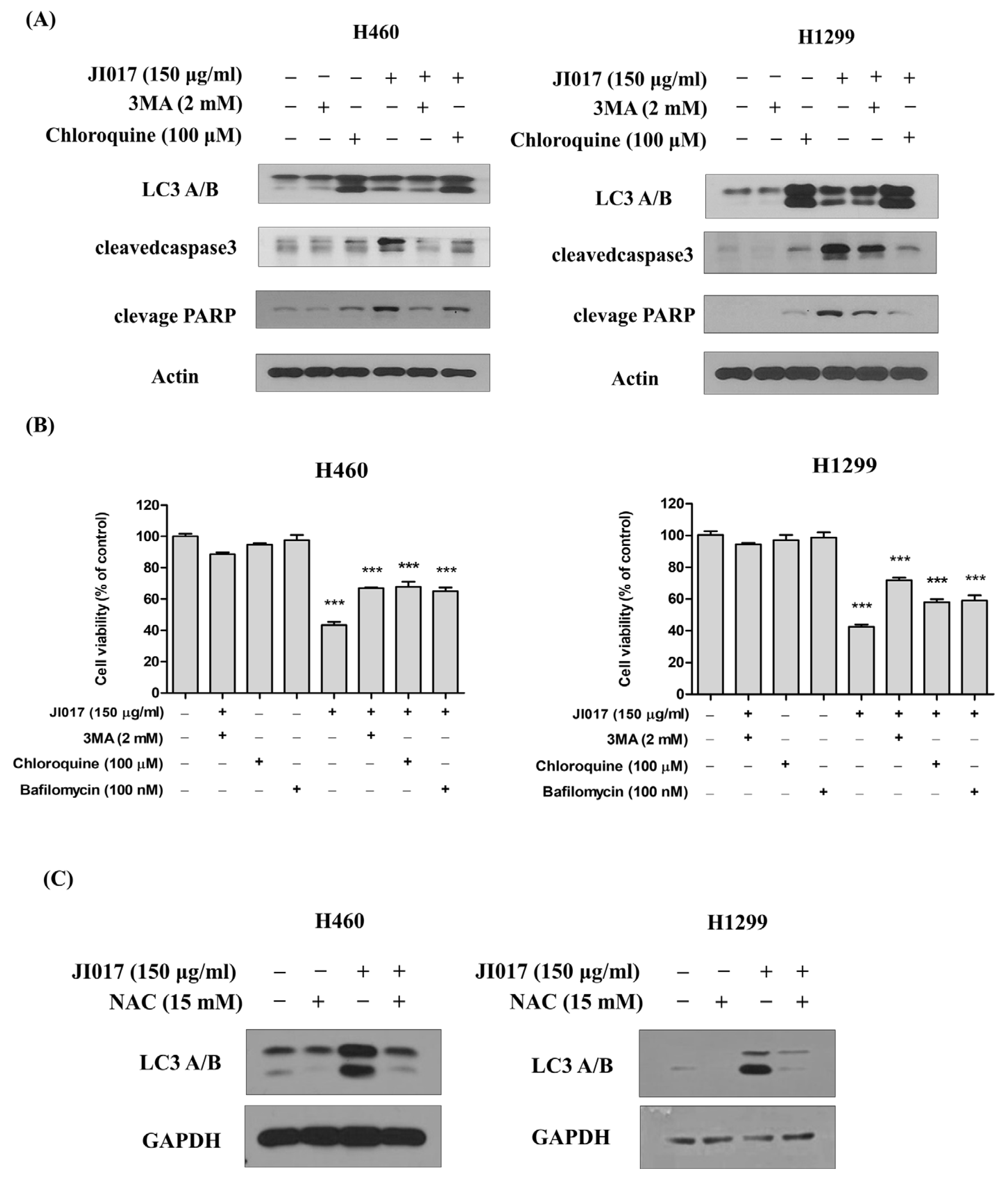 Ijms 24 07528 g004 Ijms 24 07528 g004