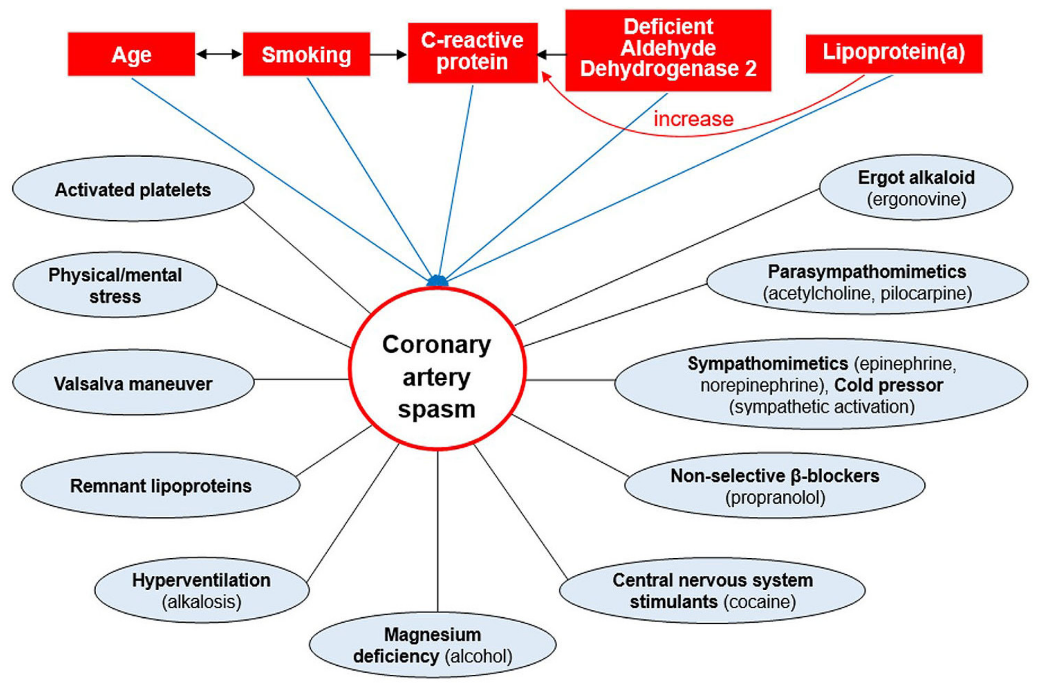 Ijms 24 07530 g005 Ijms 24 07530 g005