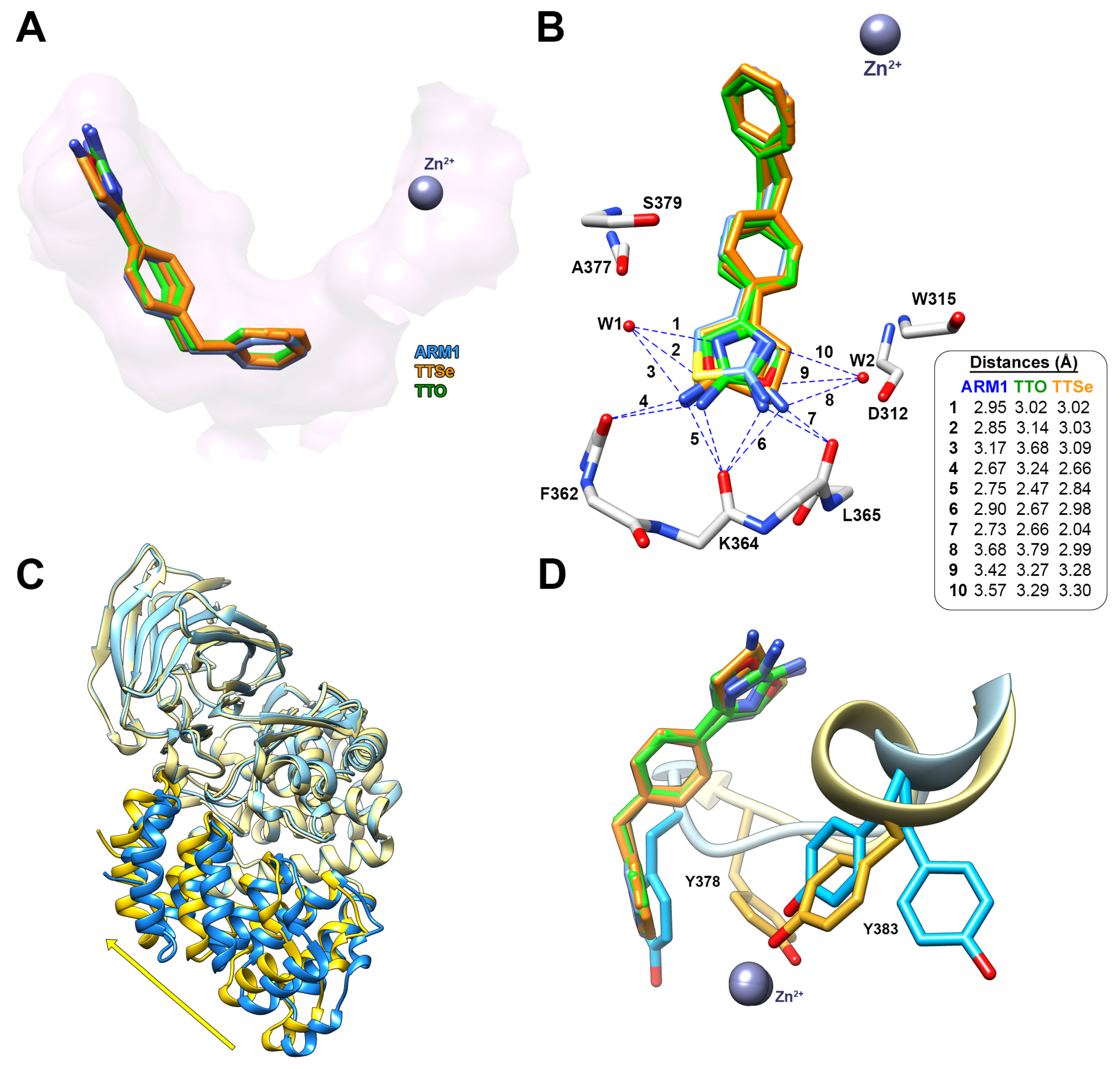 Ijms 24 07539 g007 Ijms 24 07539 g007
