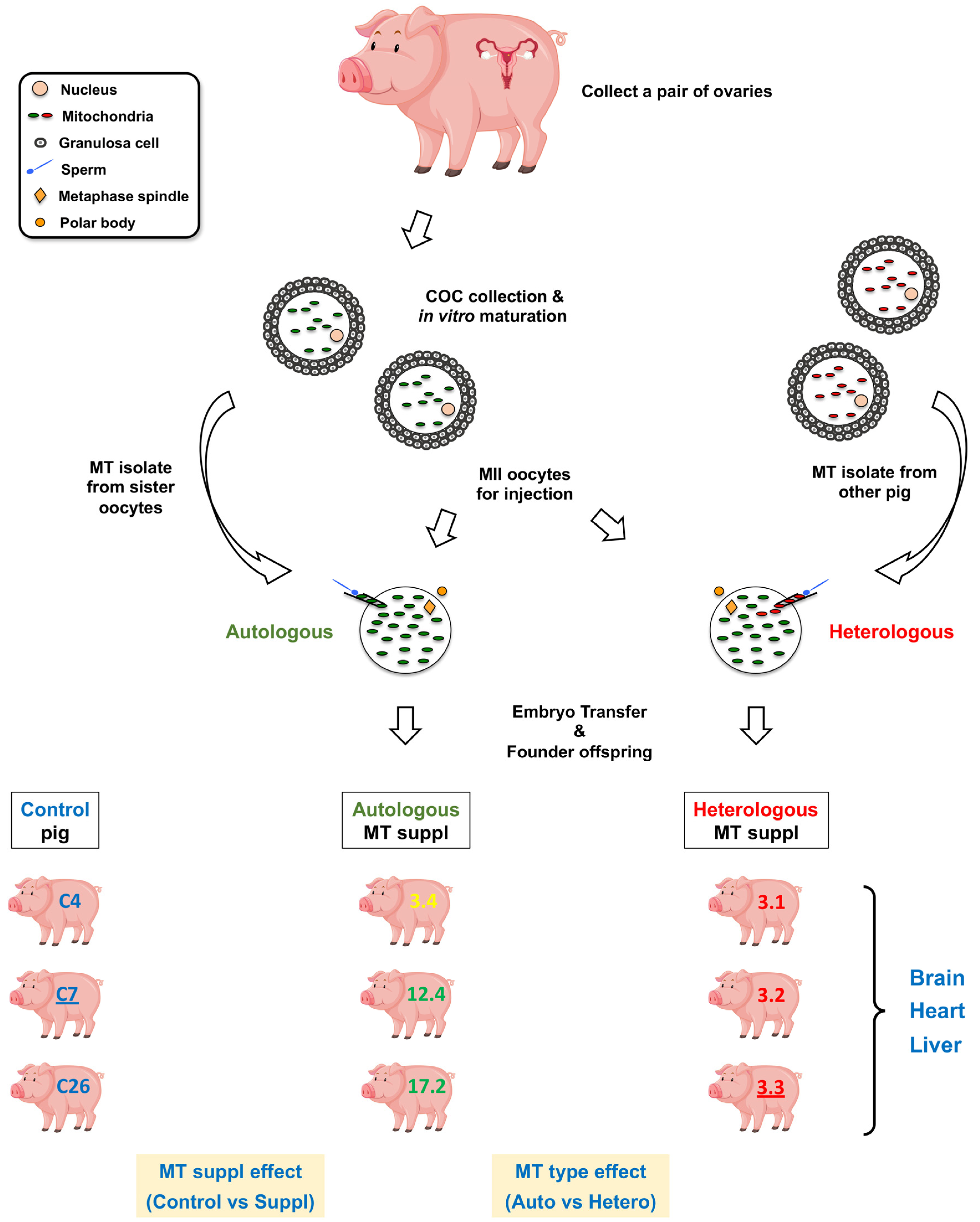 Ijms 24 07545 g001 Ijms 24 07545 g001