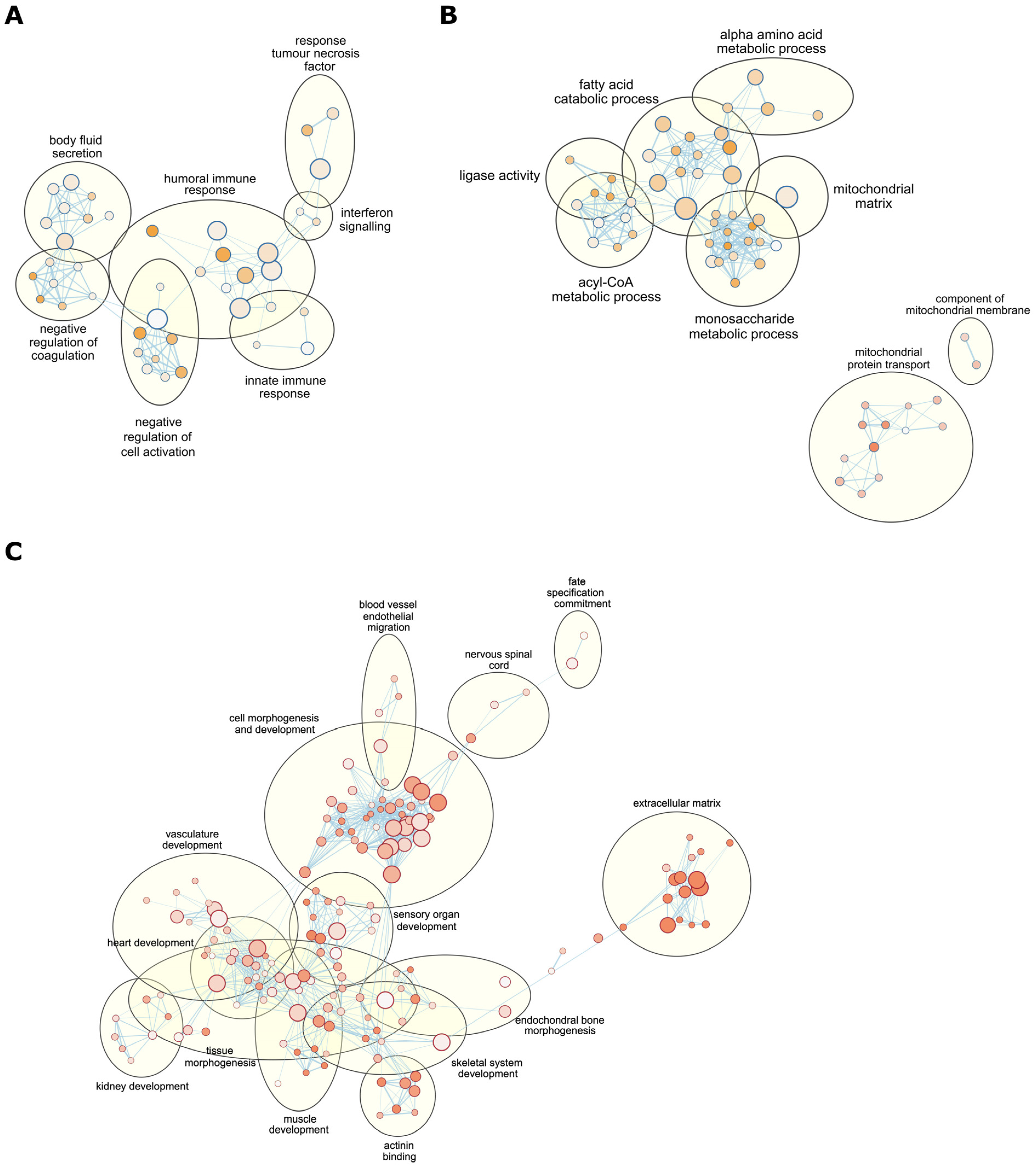 Ijms 24 07545 g003 Ijms 24 07545 g003