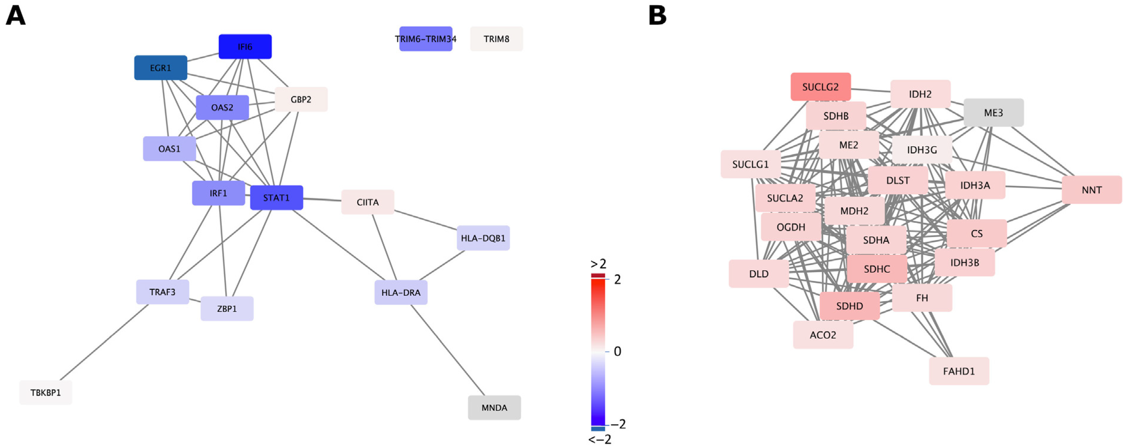 Ijms 24 07545 g004 Ijms 24 07545 g004