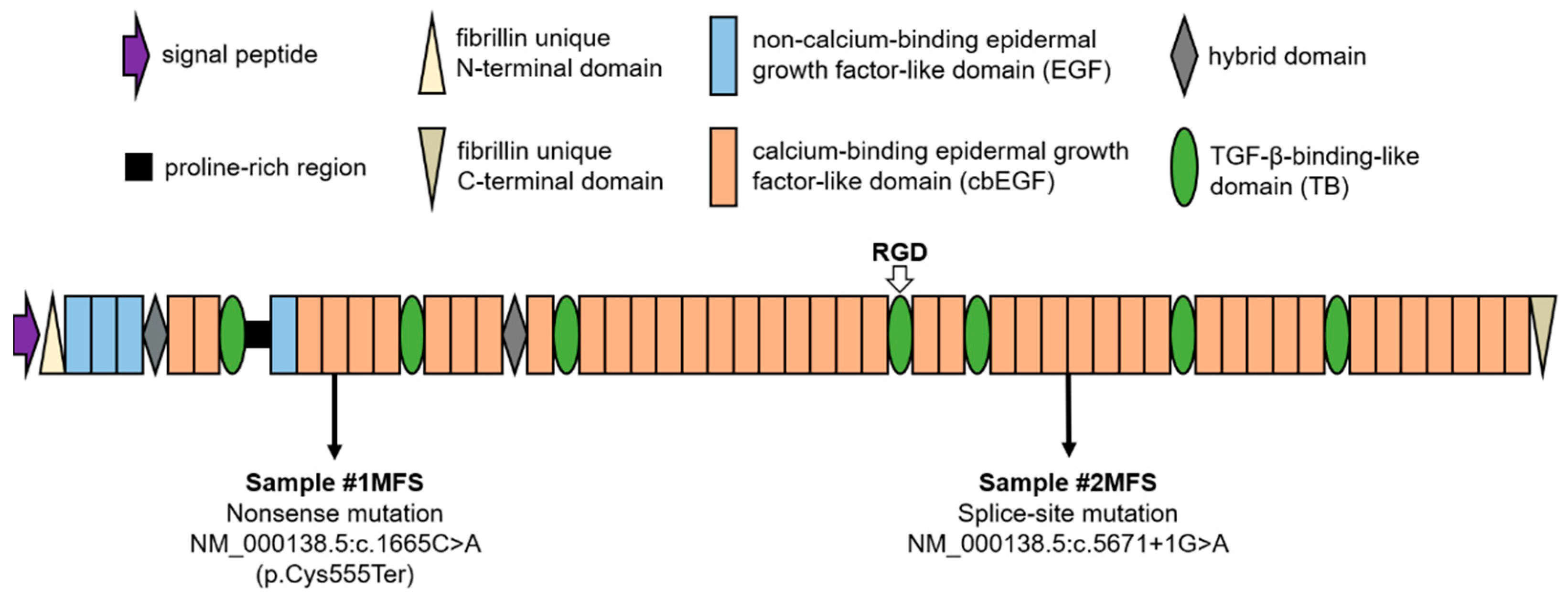 Ijms 24 07561 g001 Ijms 24 07561 g001