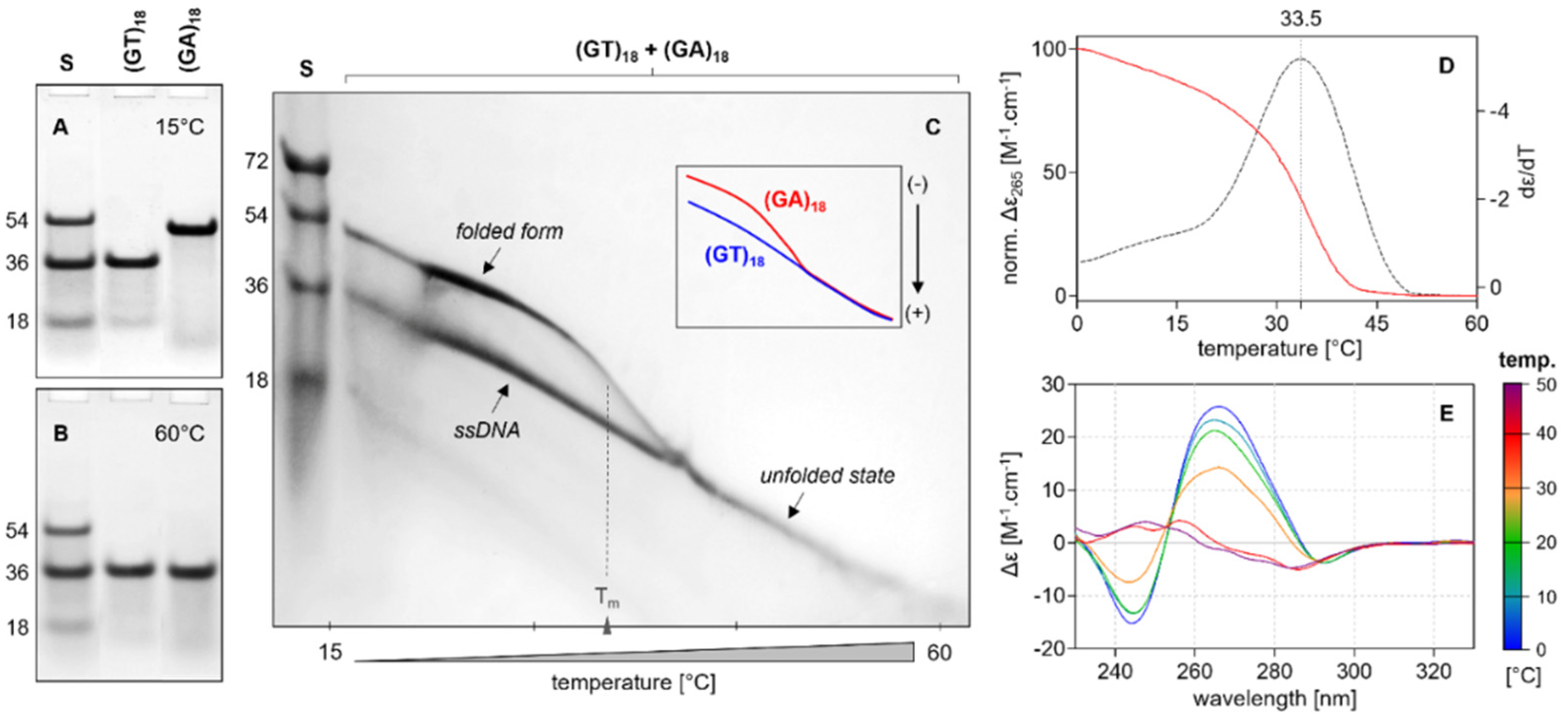 Ijms 24 07565 g007 Ijms 24 07565 g007