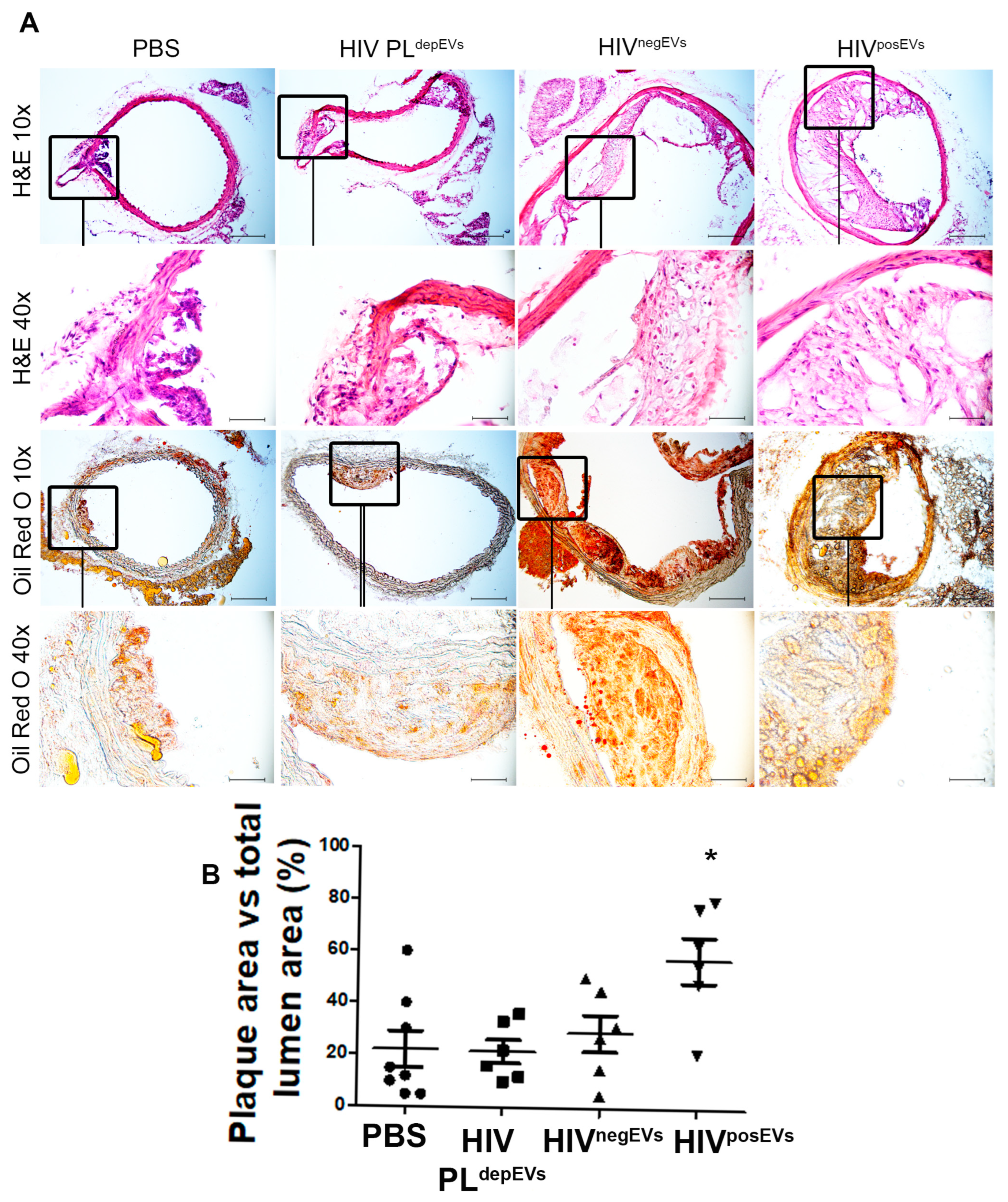 Ijms 24 07567 g002 Ijms 24 07567 g002