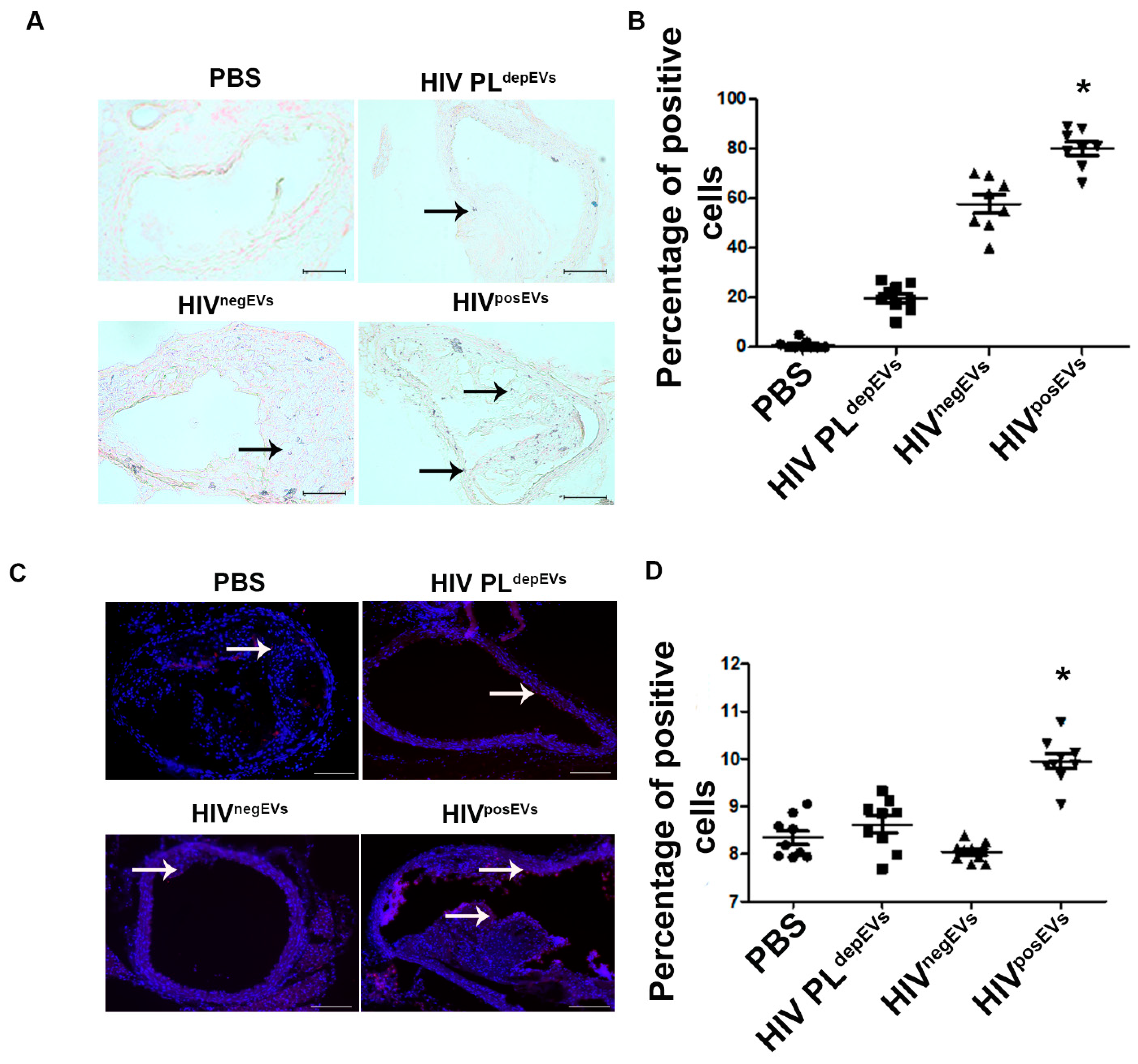 Ijms 24 07567 g003 Ijms 24 07567 g003
