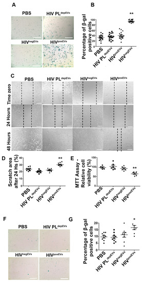 Ijms Free Full Text Hiv Promotes Atherosclerosis Via Circulating Extracellular Vesicle Micrornas 5161