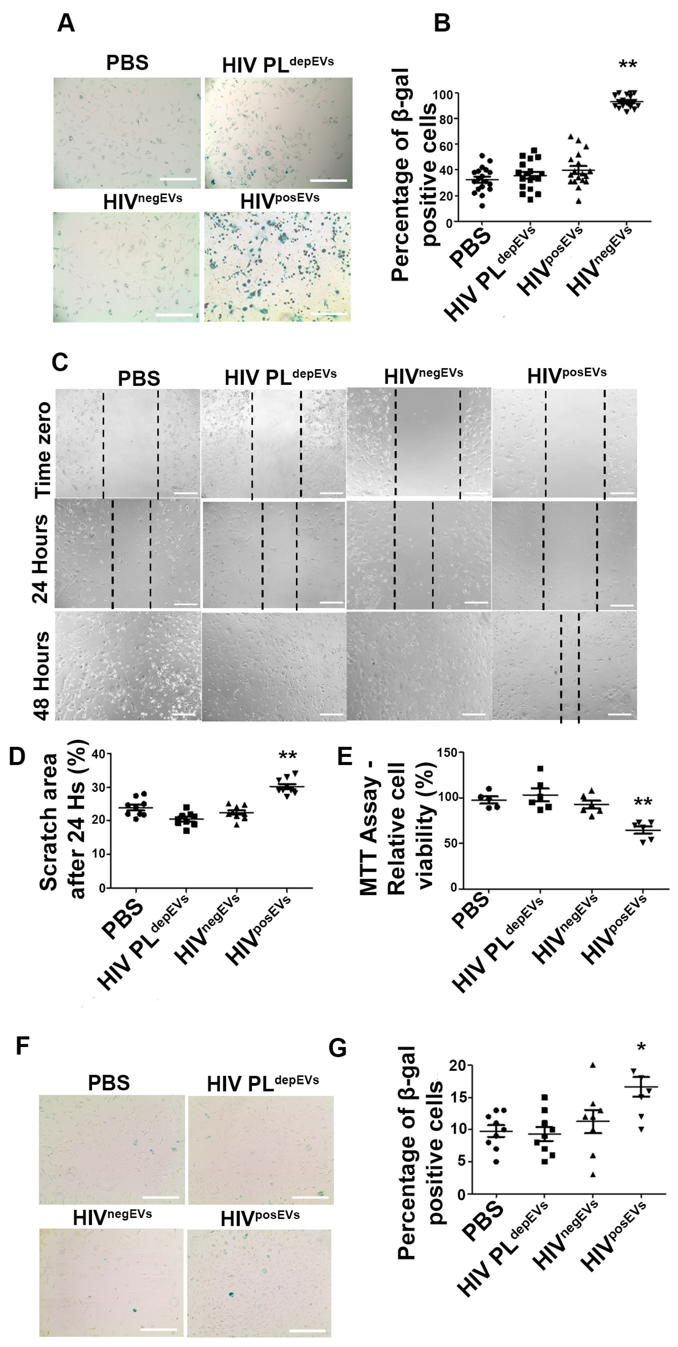 Ijms 24 07567 g004 Ijms 24 07567 g004