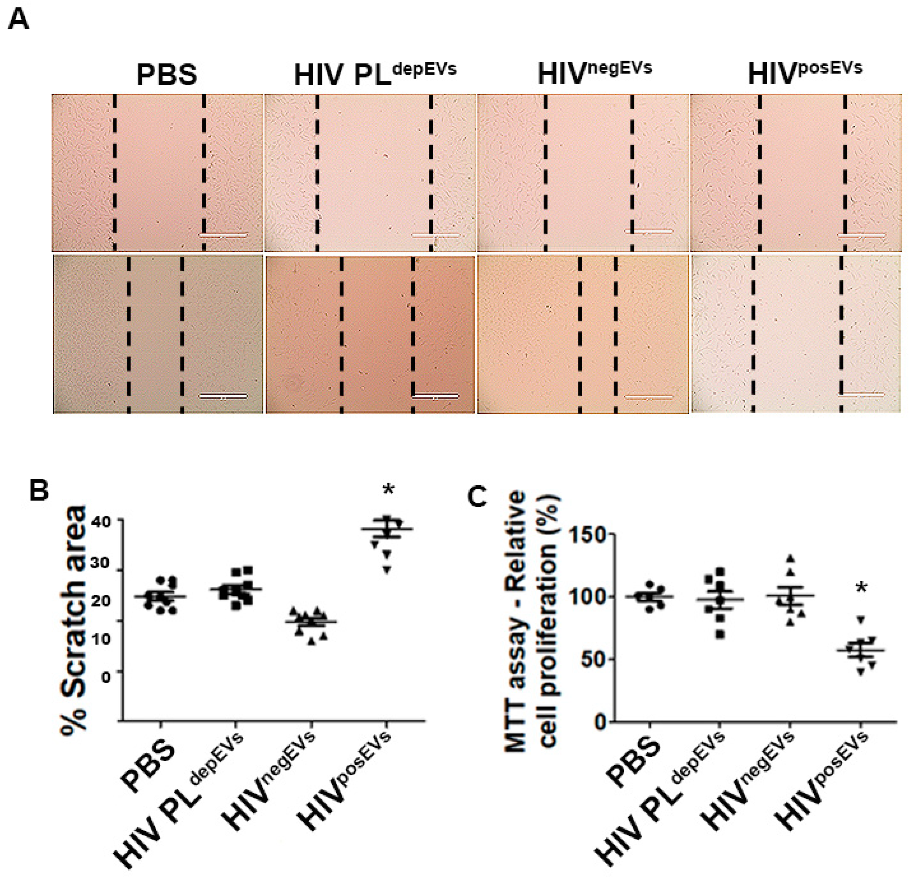 Ijms 24 07567 g005 Ijms 24 07567 g005