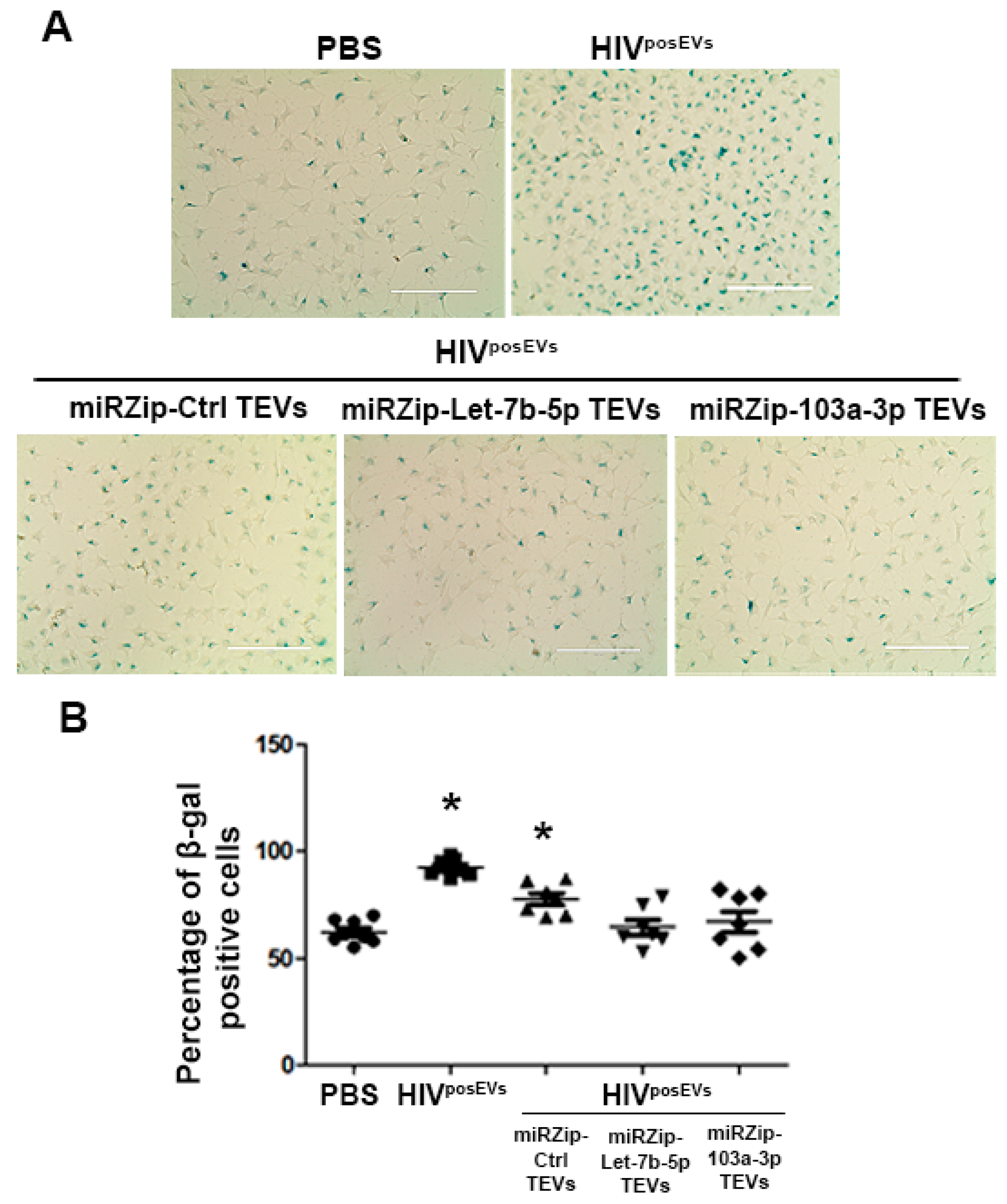 Ijms 24 07567 g006 Ijms 24 07567 g006