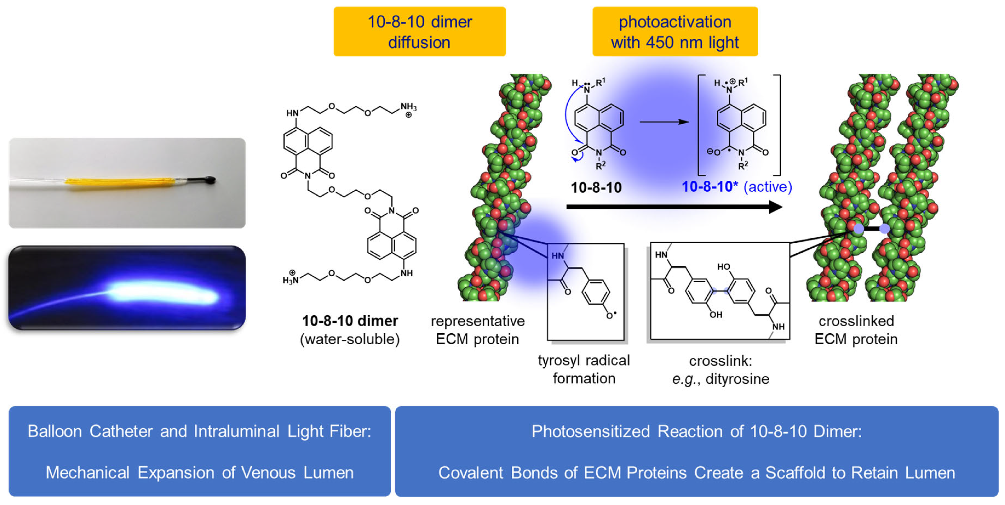 Ijms 24 07571 g001 Ijms 24 07571 g001
